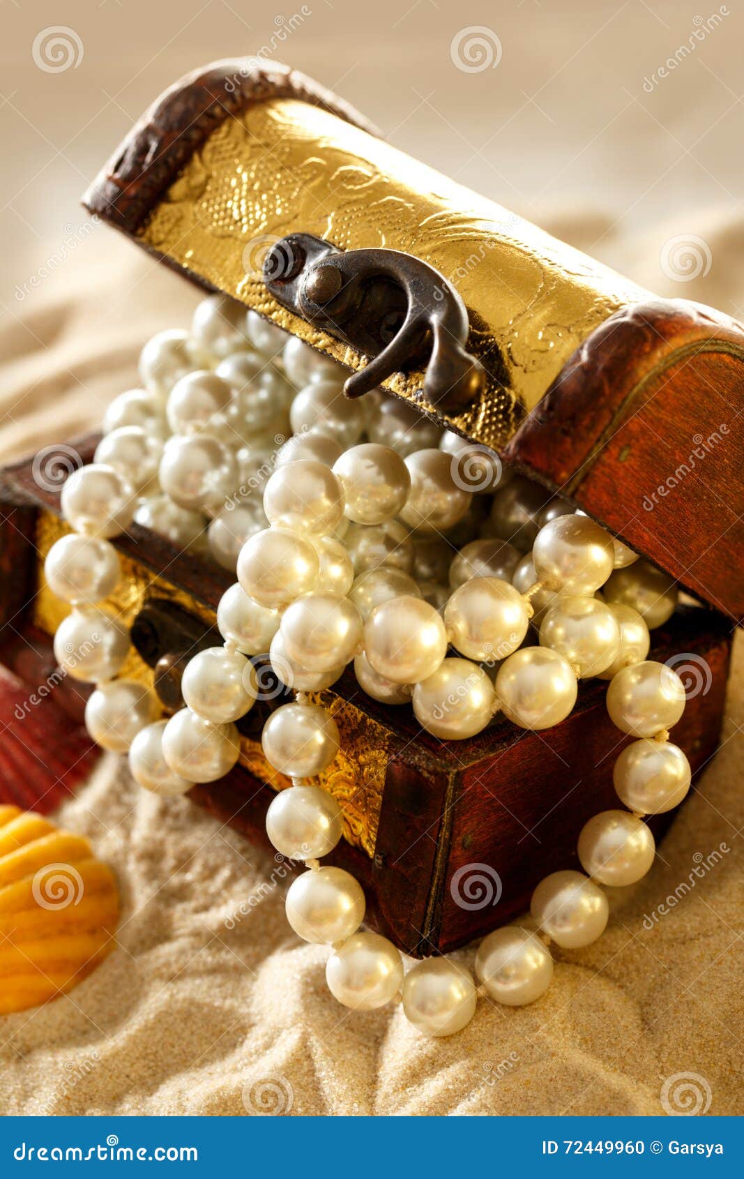 Treasure Chest with Seashells and Pearl Stock Photo Image of marine