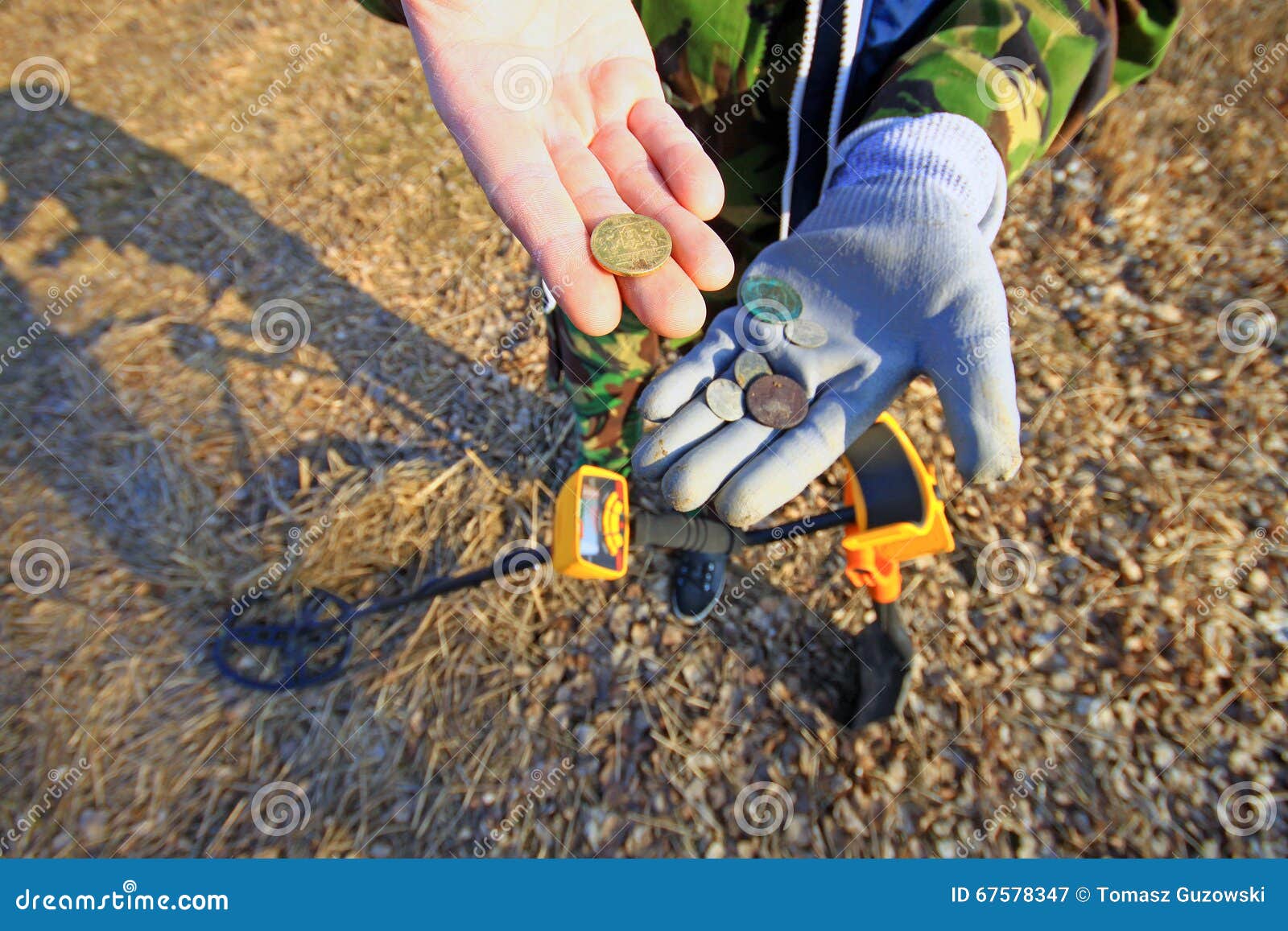 Treasure Hunter. Searching with Metal Detector Stock Image Image of