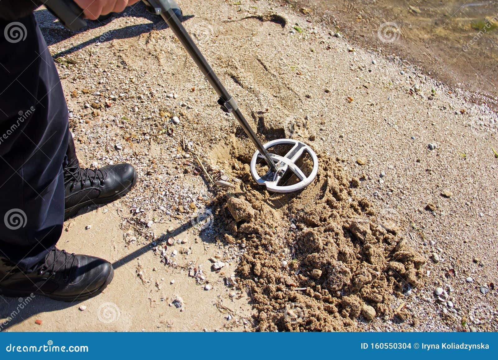 Treasure Hunting with a Metal Detector Stock Photo Image of action