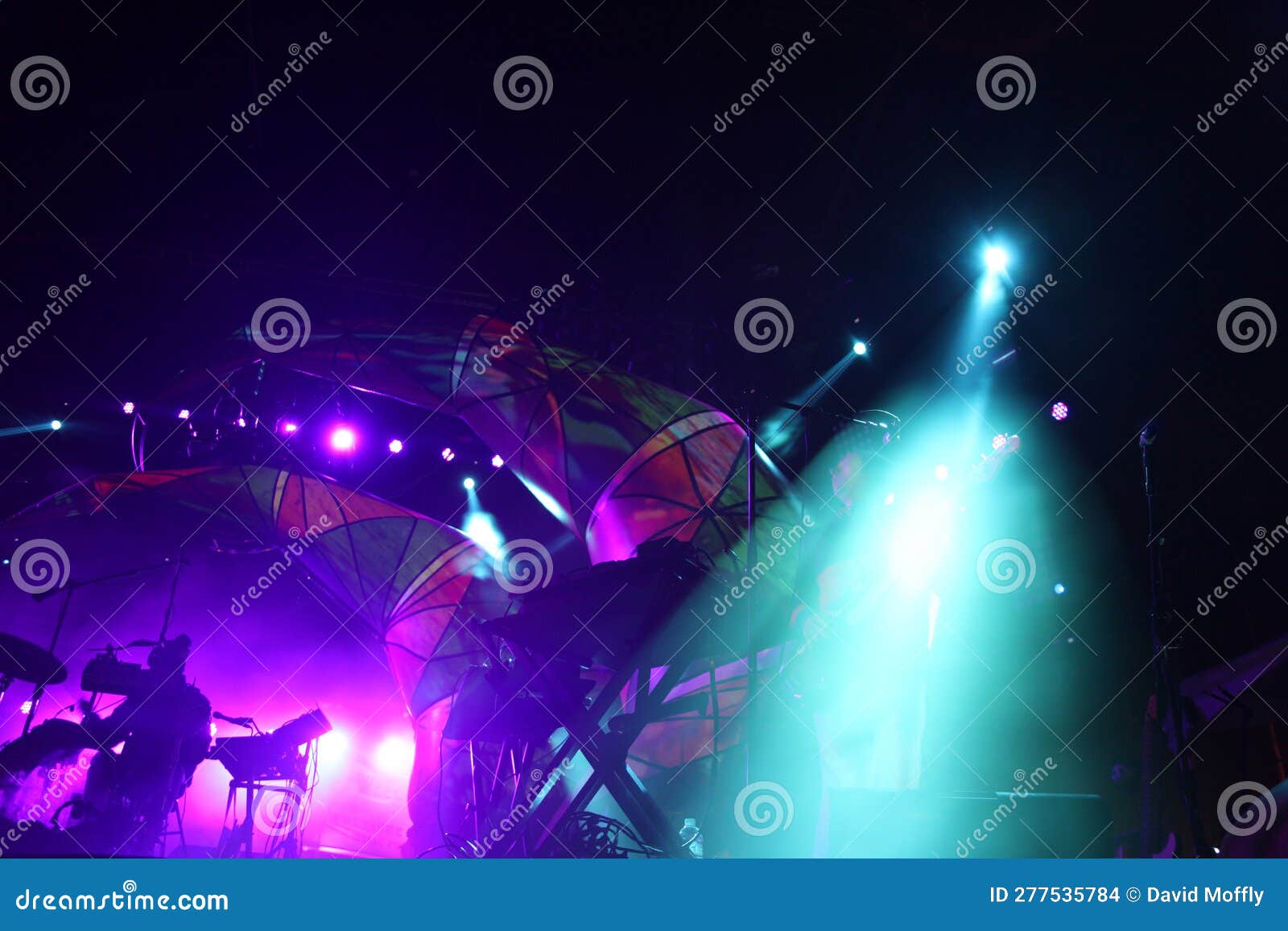 Animal Collective in Concert Treasure Island Music Festival Editorial