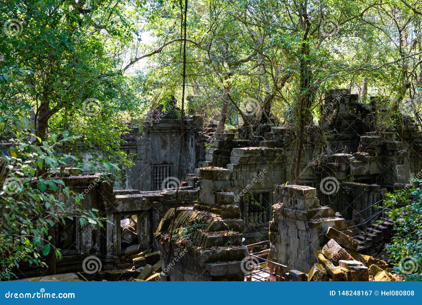 Demaged from Growing Trees on Beng Mealea Temple, Angkor, Siem