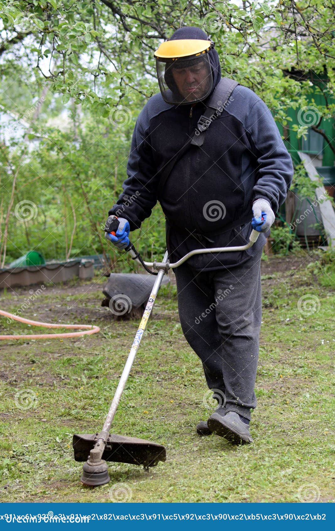 Treatment of the Lawn in the Personal Plot. Stock Image - Image of grass,  green: 224506911