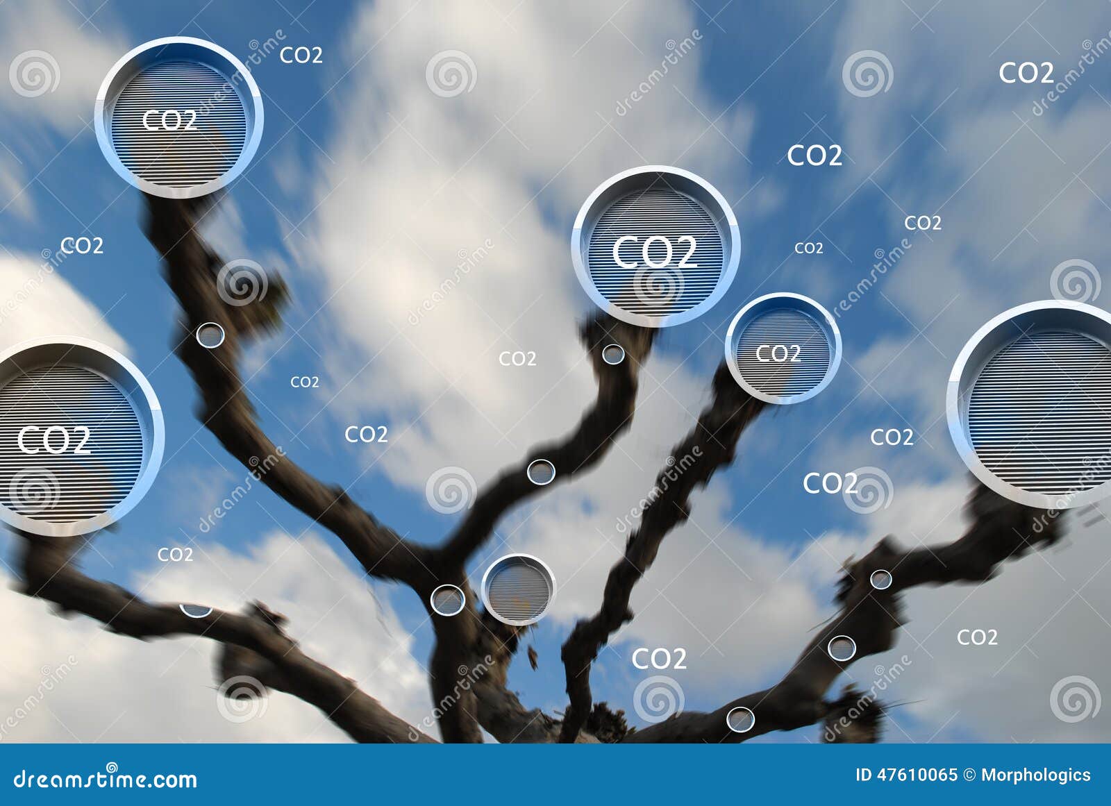 tree absorbing carbon dioxide concept