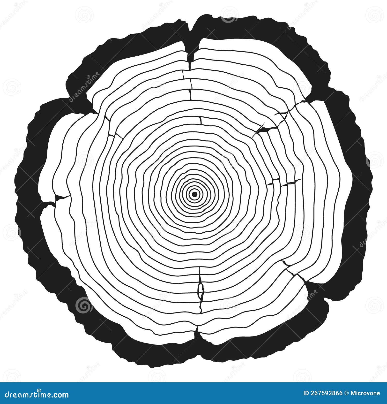 Tree Rings | Science WorkSheets