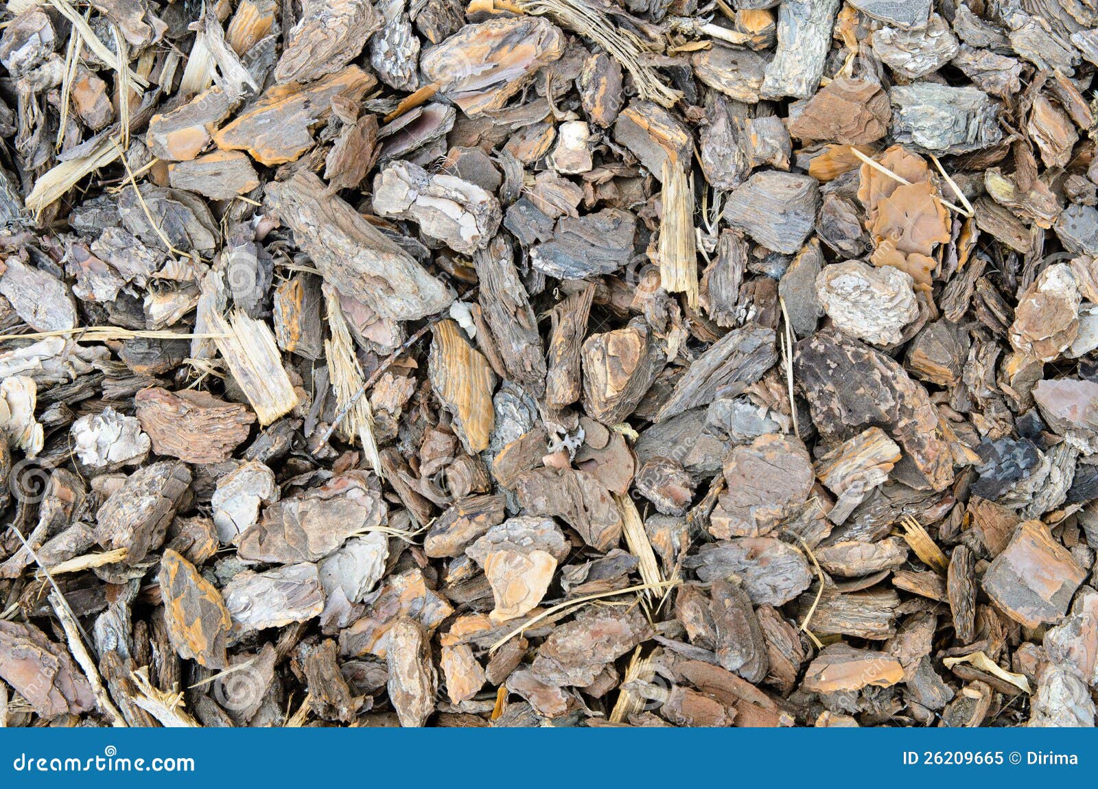 Tree Bark Chips Royalty Free Stock Photo Image 26209665