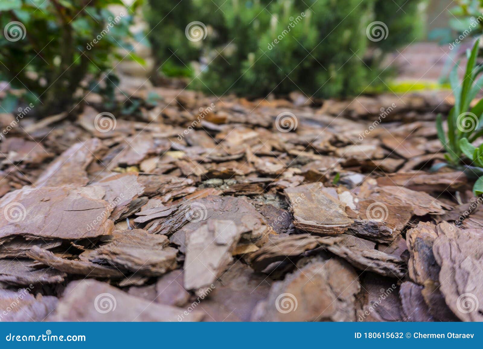 Tree Bark for Decoration and Mulching in Landscape Design. Tree Bark