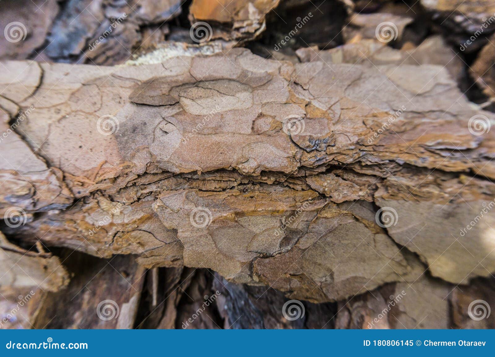 Tree Bark for Decoration and Mulching in Landscape Design. Tree Bark