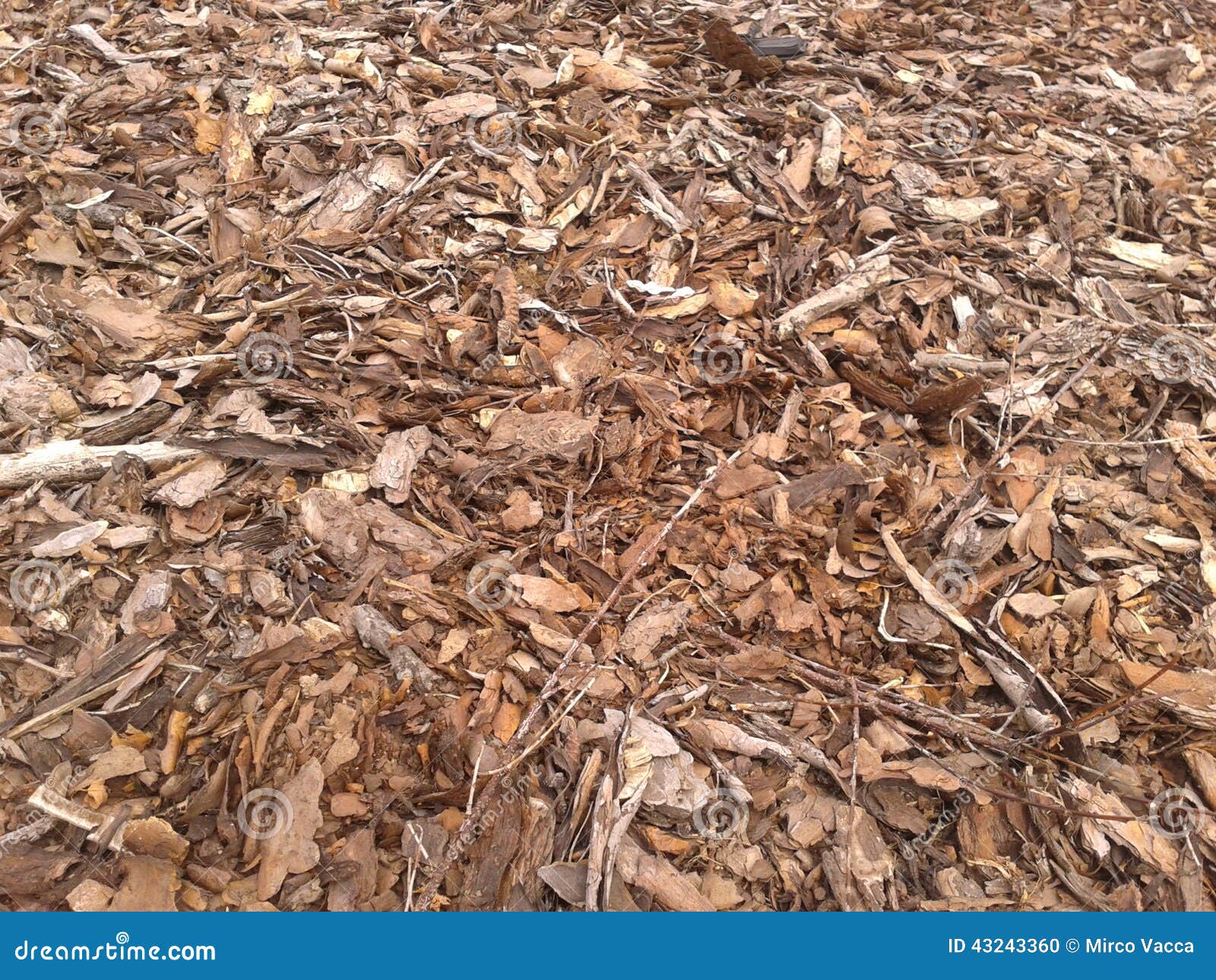 Tree bark pieces stock photo. Image of pattern, pieces 43243360