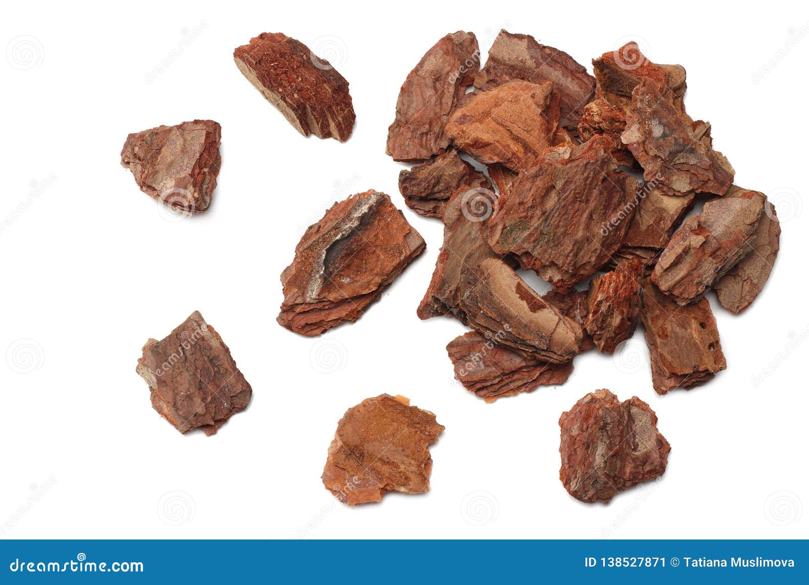 Tree Bark Pieces Isolated on White Background. Top View Stock Image