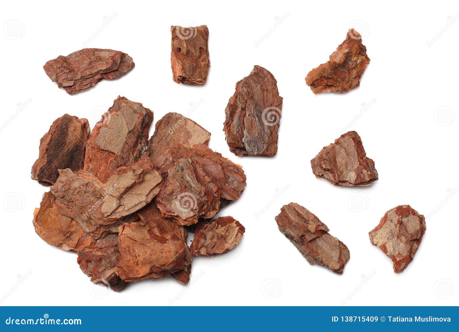 Tree Bark Pieces Isolated on White Background. Top View Stock Image