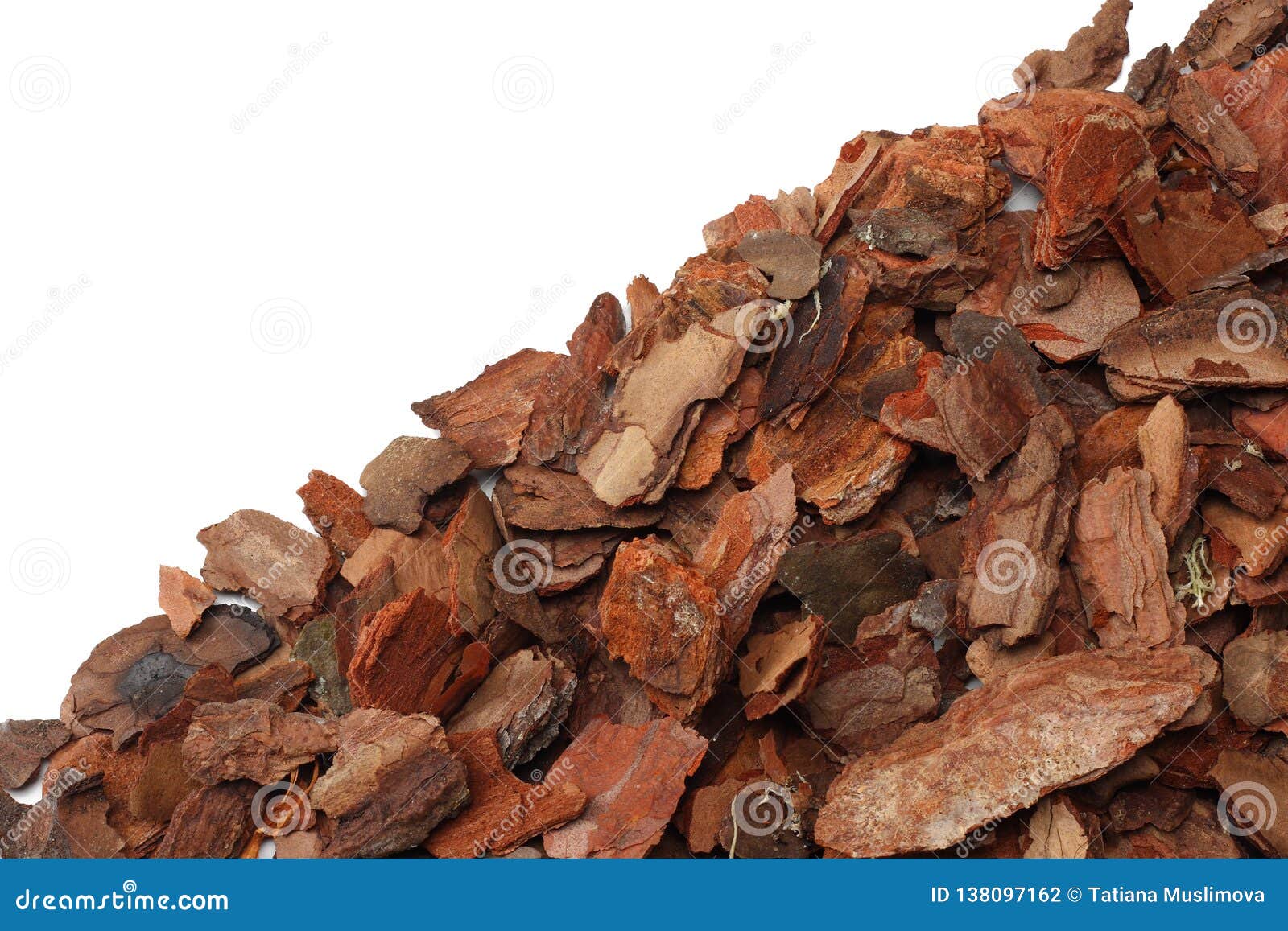 Tree Bark Pieces Isolated on White Background. Top View Stock Photo
