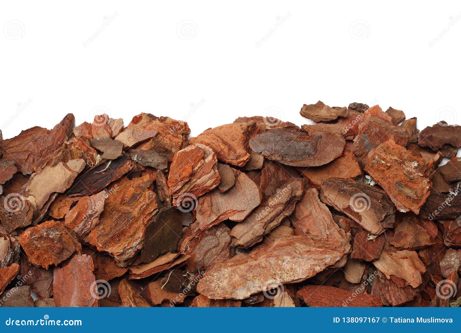 Tree Bark Pieces Isolated on White Background. Top View Stock Image