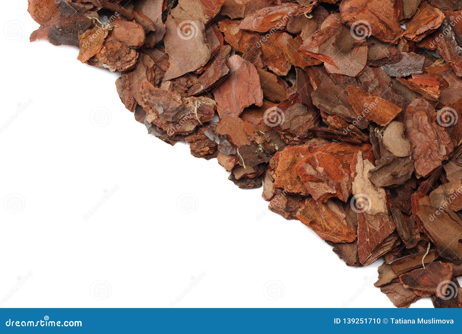 Tree Bark Pieces Isolated on White Background. Top View Stock Photo