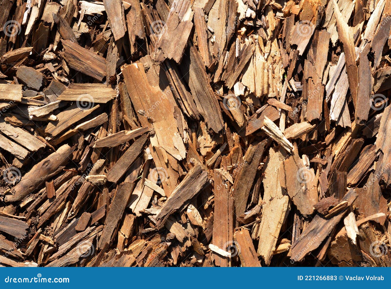 tree bark splinters close up.