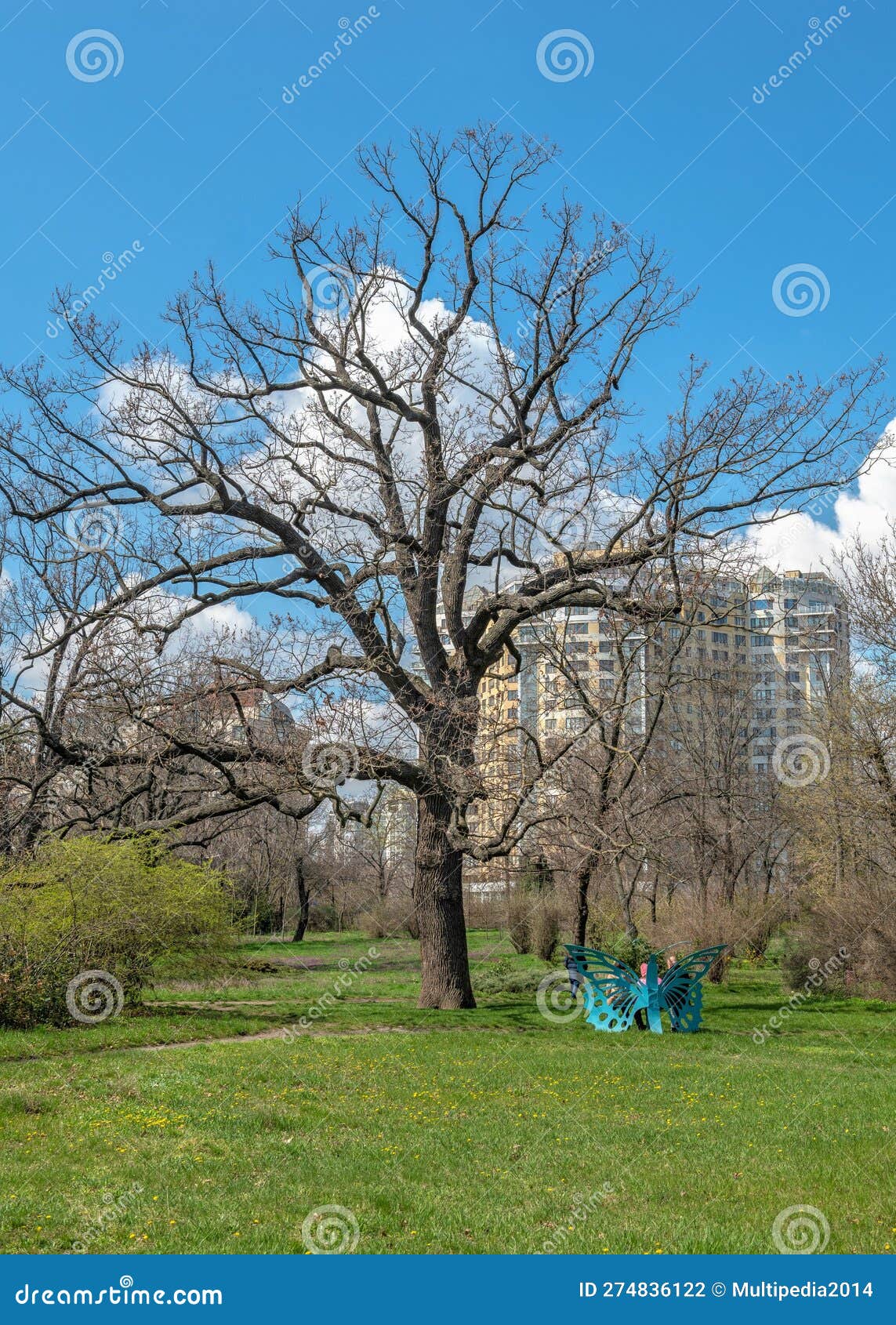 Tree in the Botanical Garden of Odessa, Ukraine Editorial Photography