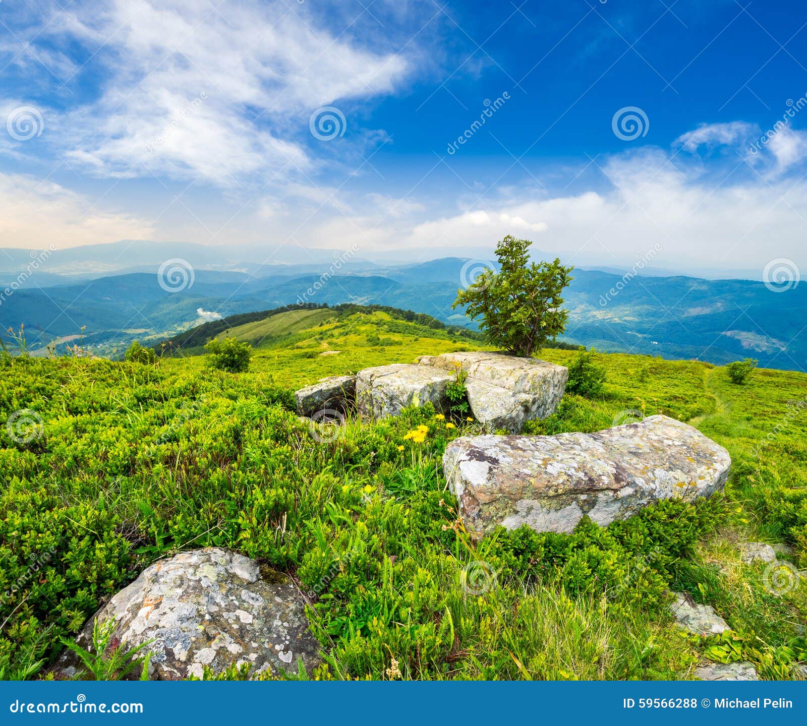 village on hillside meadow with forest in mountain Free Photo