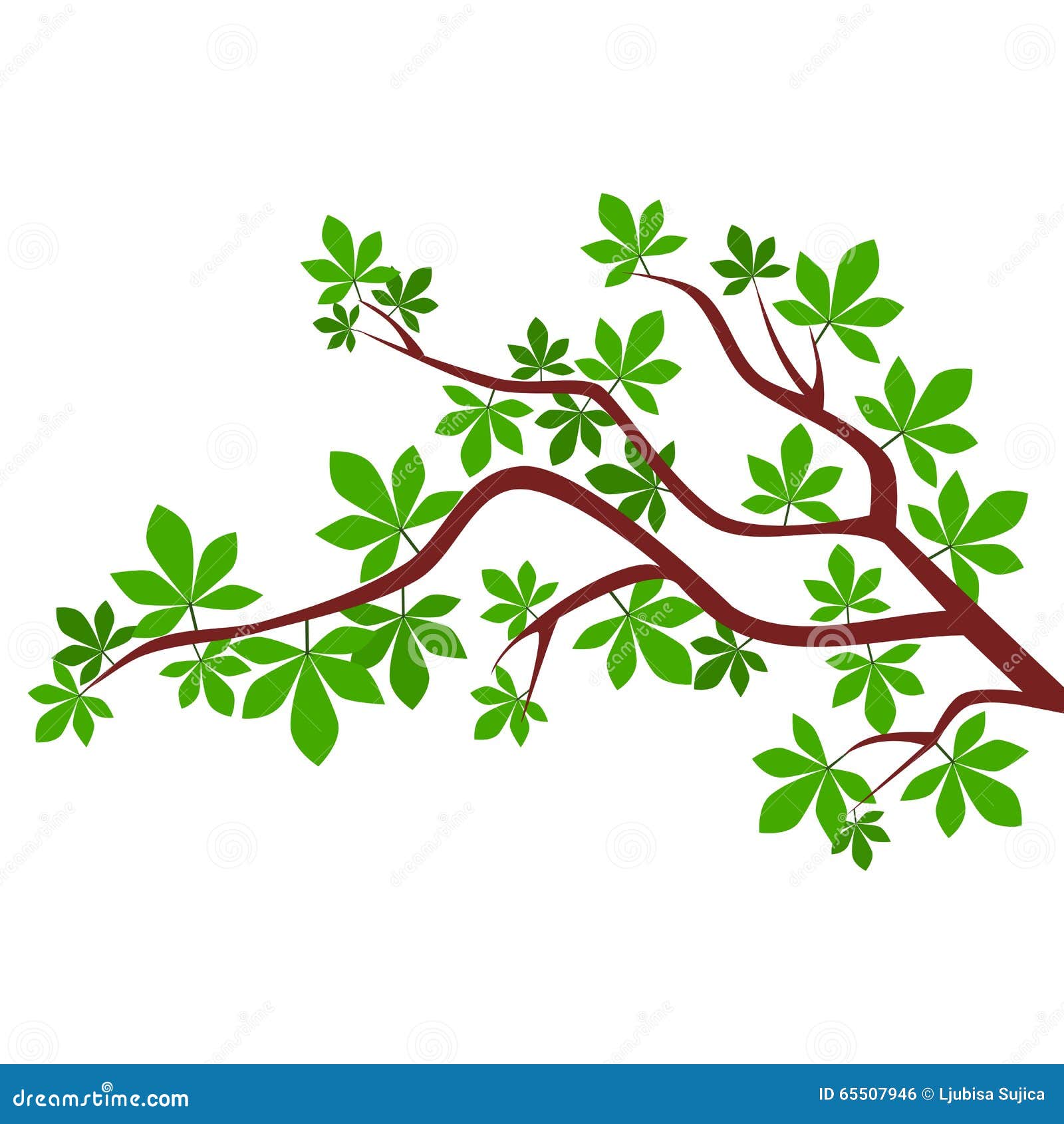 Tree branch - Illustration stock illustration. Illustration of growth ...