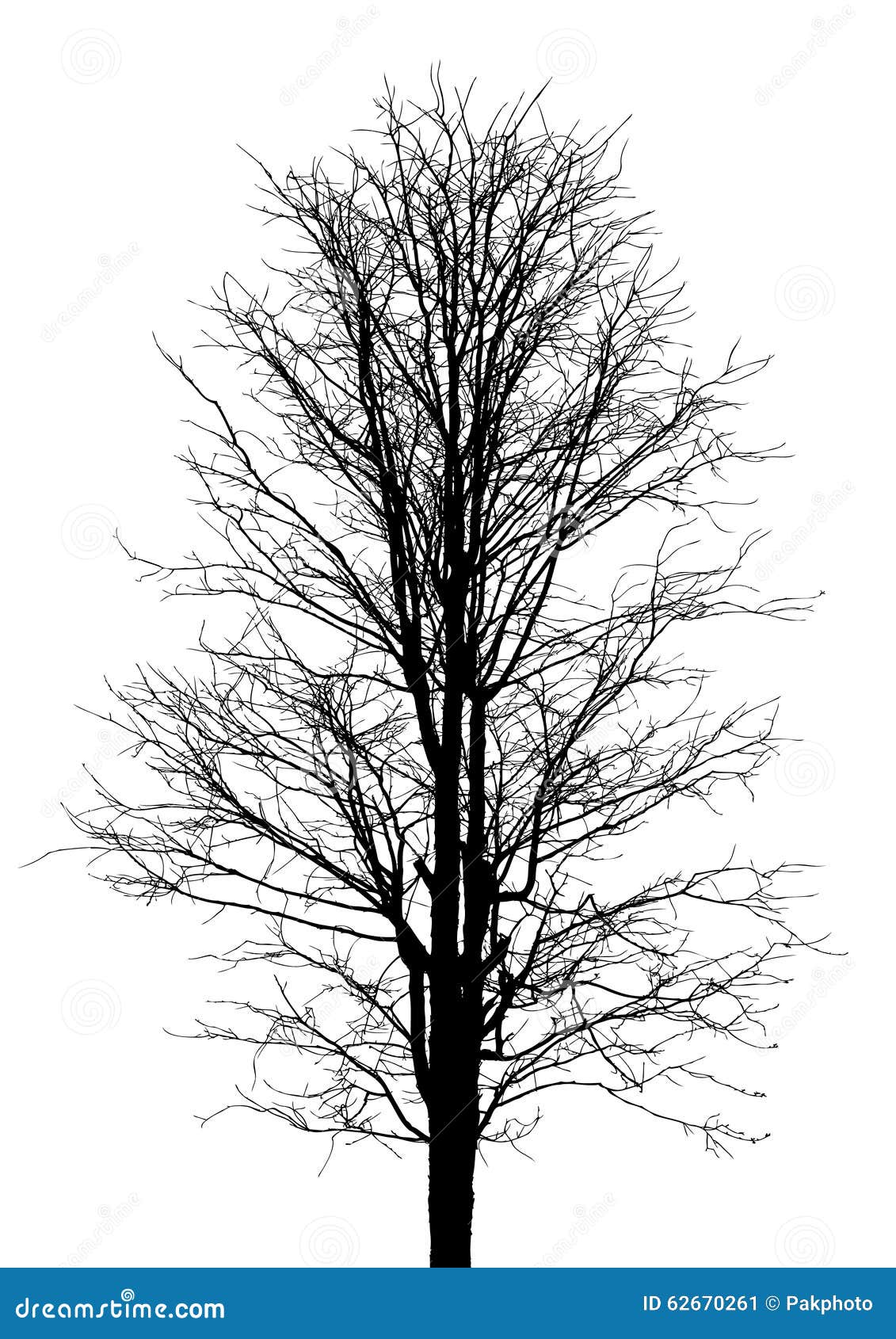 Tree Branch Isolated Vector Stock Vector - Illustration of garden