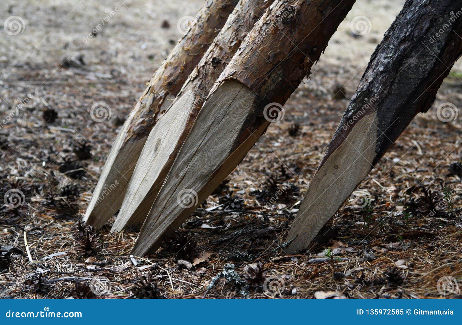 tree branches implemented in to a fence