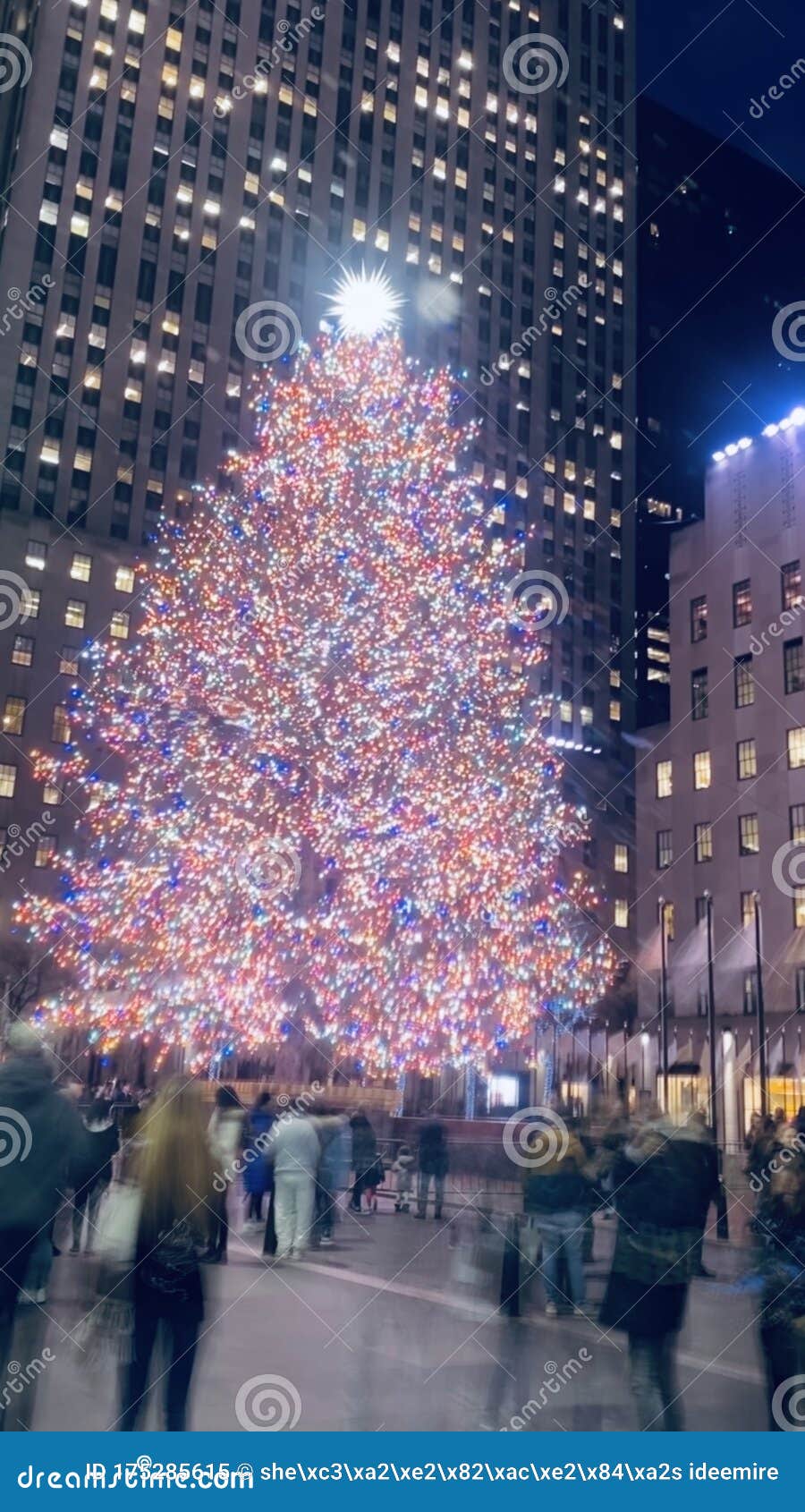 Tree stock image. Image of christmas, colors, architecture 175285615