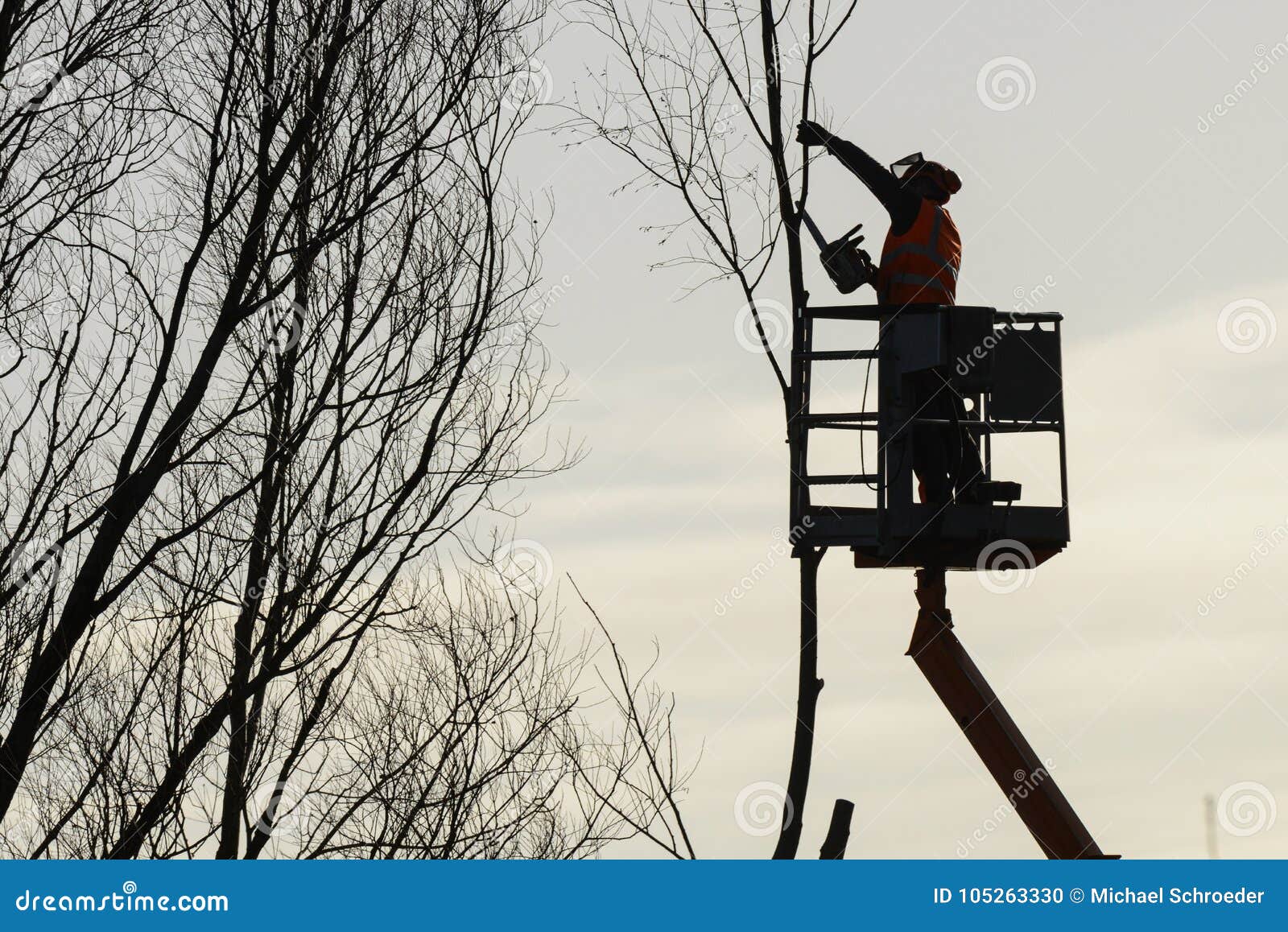 Tree Climber with Saw and Harness, Lumberjack at Work Editorial Image