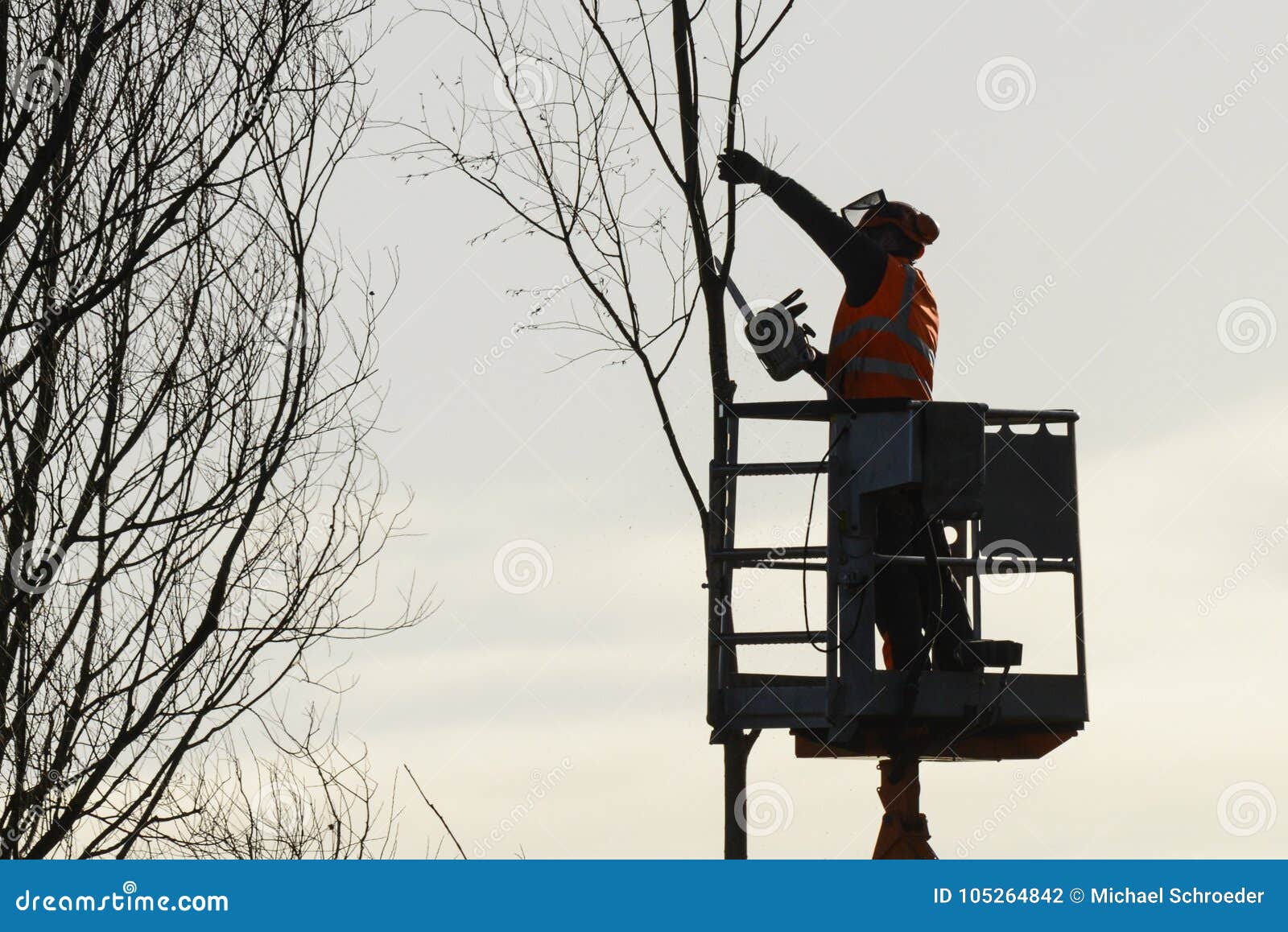 Tree Climber with Saw and Harness, Lumberjack at Work Editorial