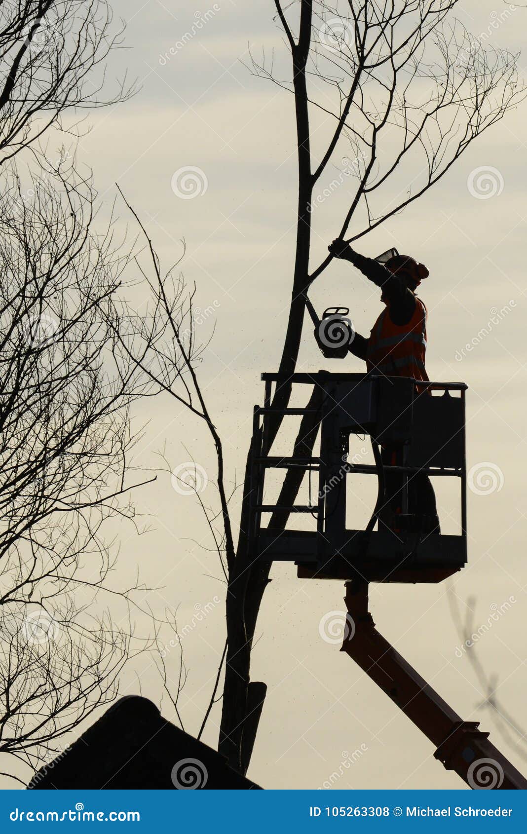Tree Climber with Saw and Harness, Lumberjack at Work Editorial Stock