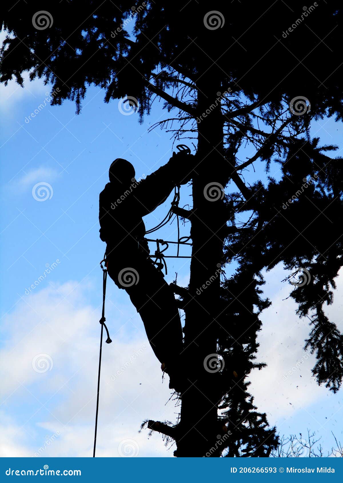Tree Climber at Works Silhouette Stock Image - Image of light, challenge:  206266593