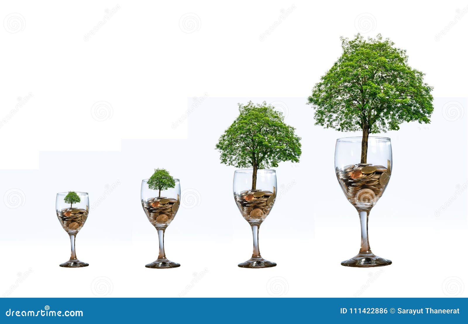 tree coin glass isolate increase saving money hand coin tree the tree grows on the pile. saving money for the future. investment i