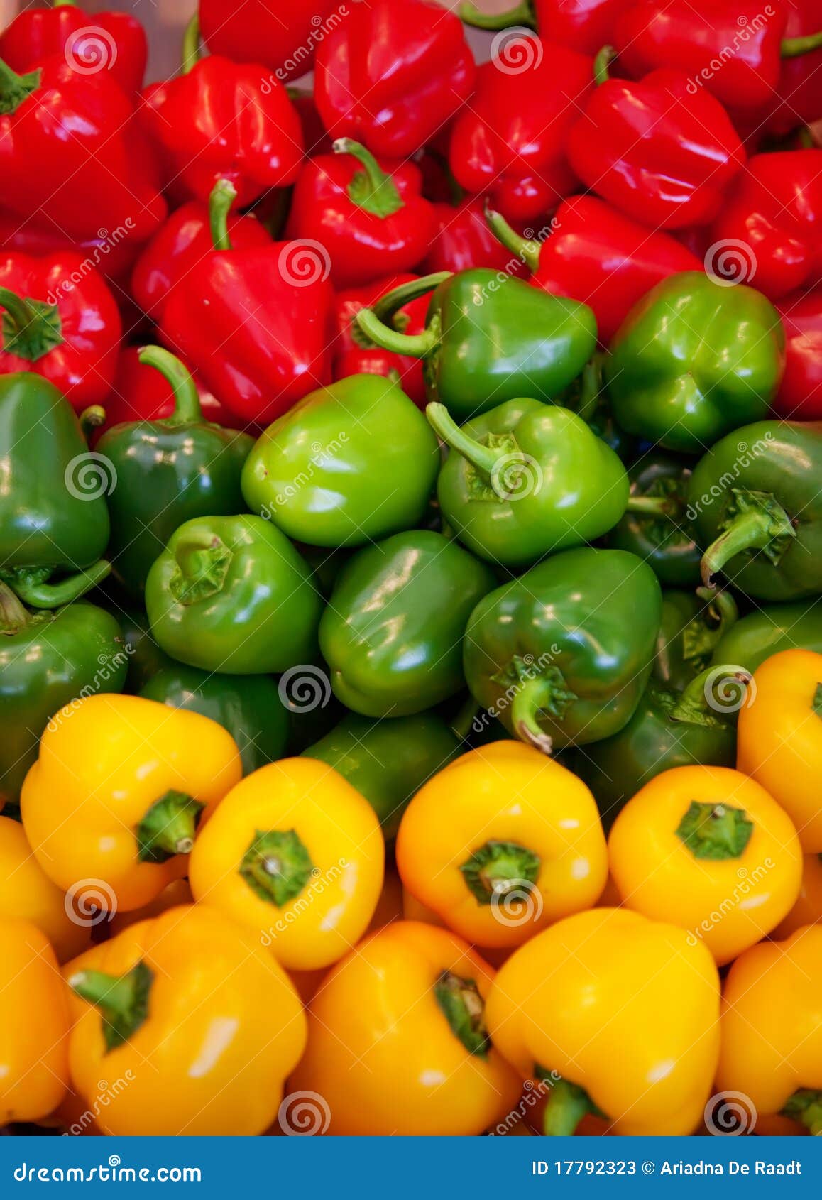 Three color of paprikas stock image. Image of life, pepper 17792323