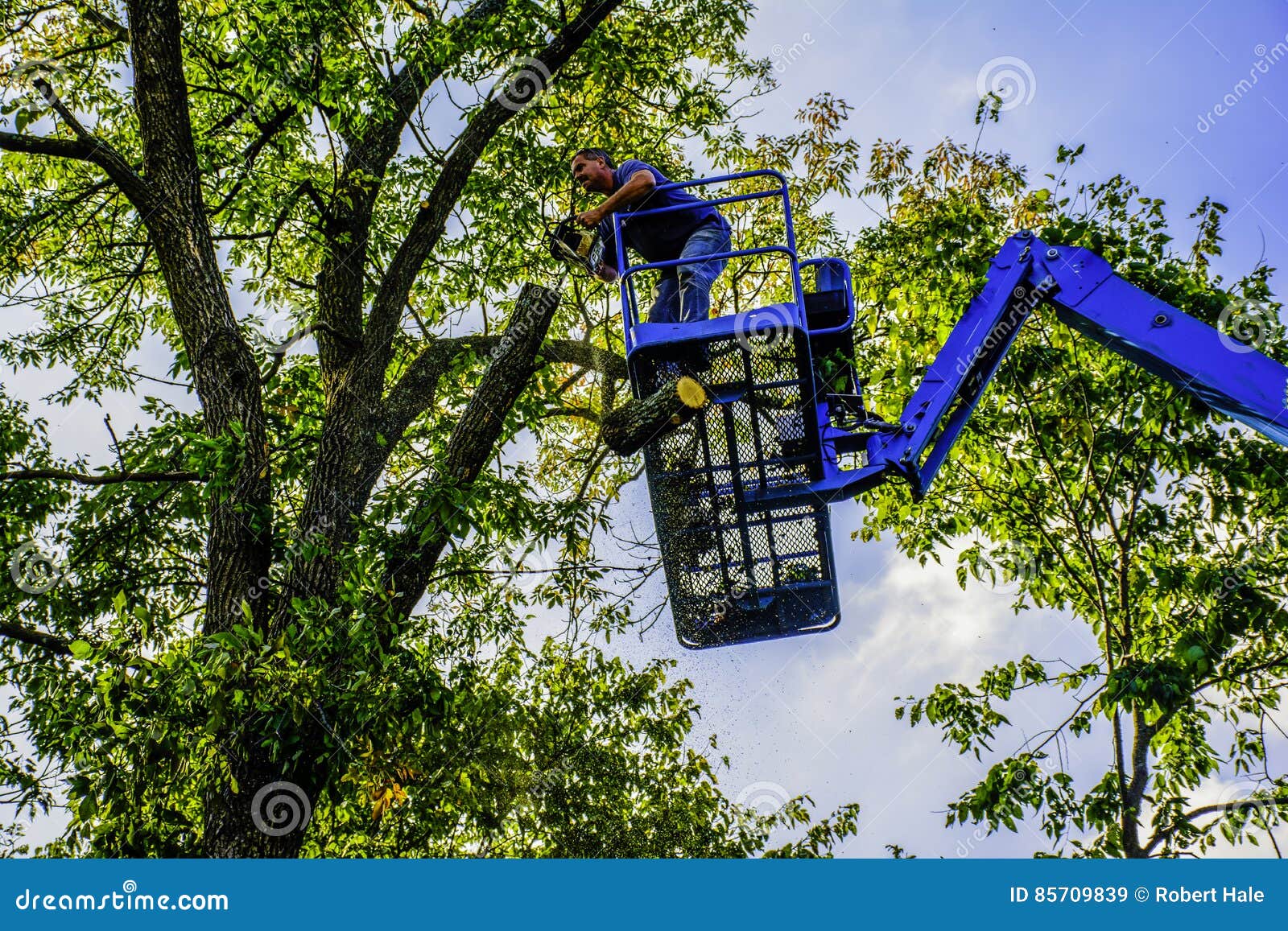 Tree Cutter stock image. Image of firewood, horticulture 85709839