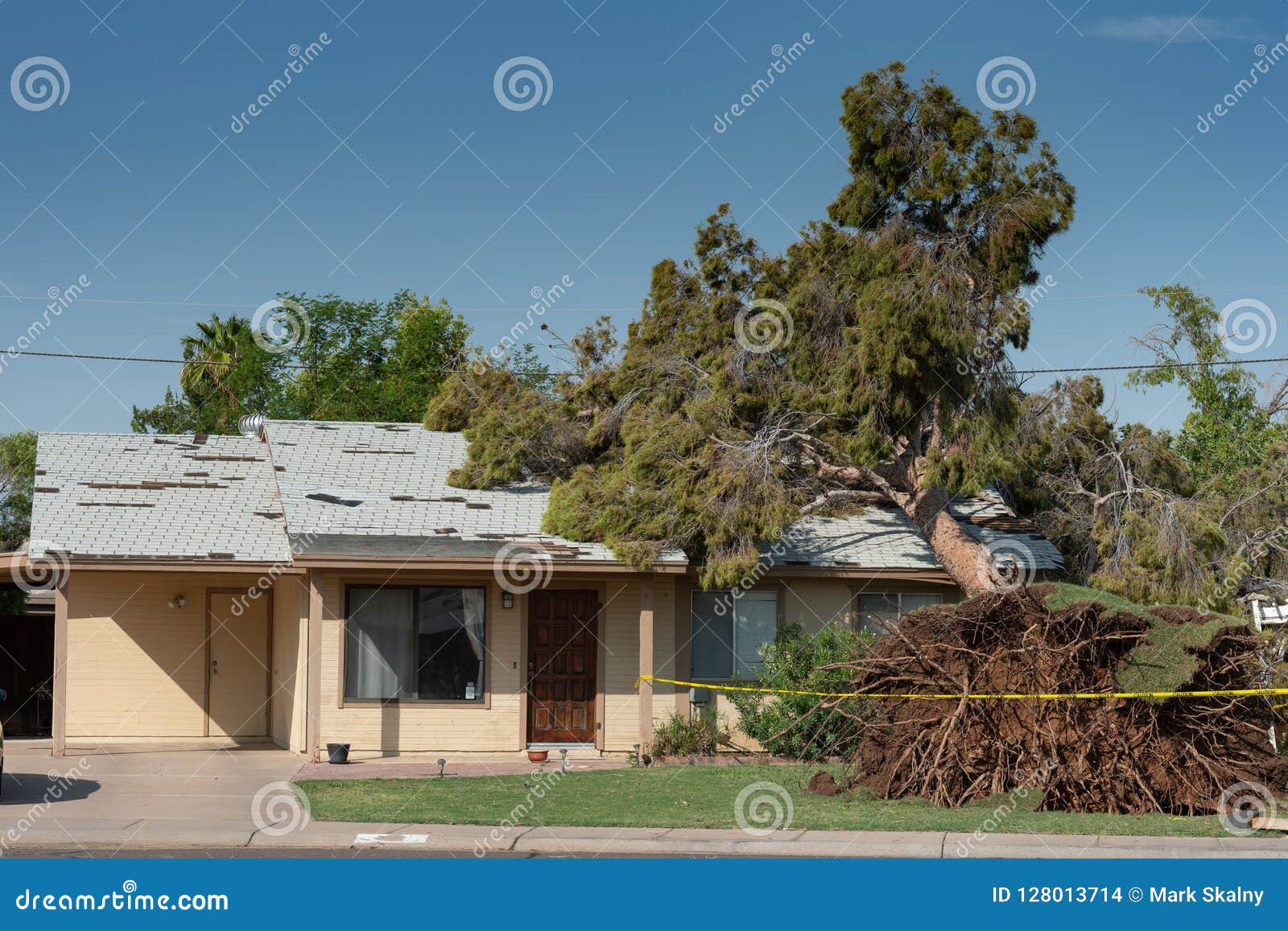 tree damage to roof after major monsoon