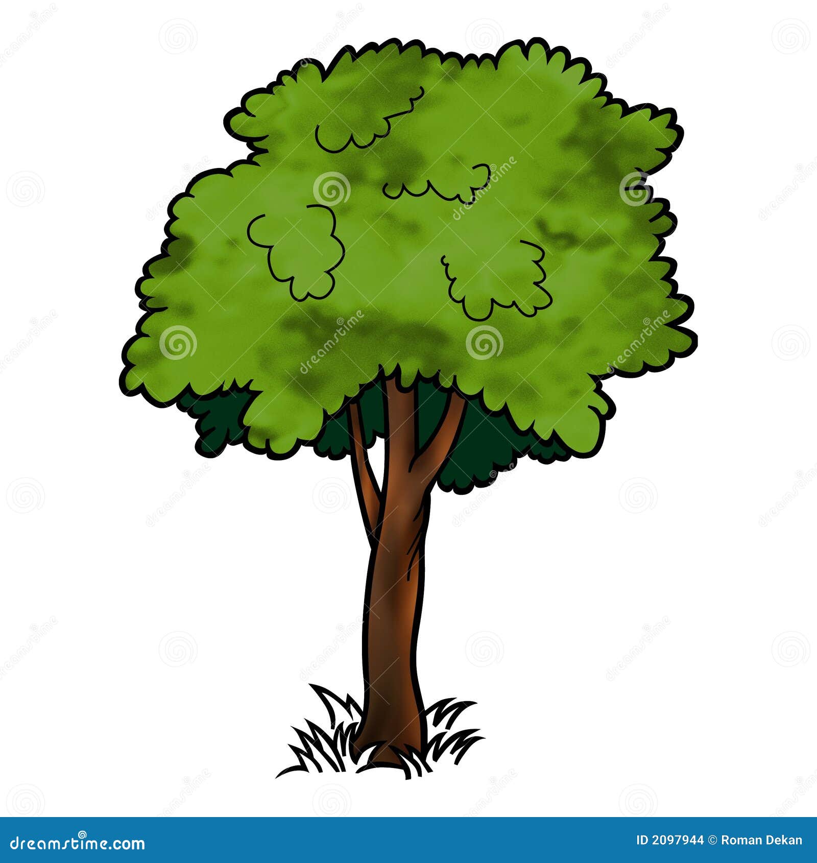 tree - deciduous