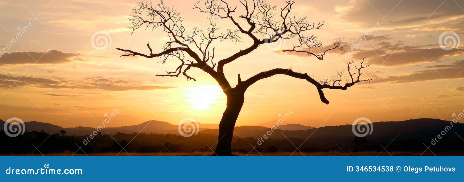 a tree devoid of leaves against a sunset backdrop of mountains and cloud-studded sky