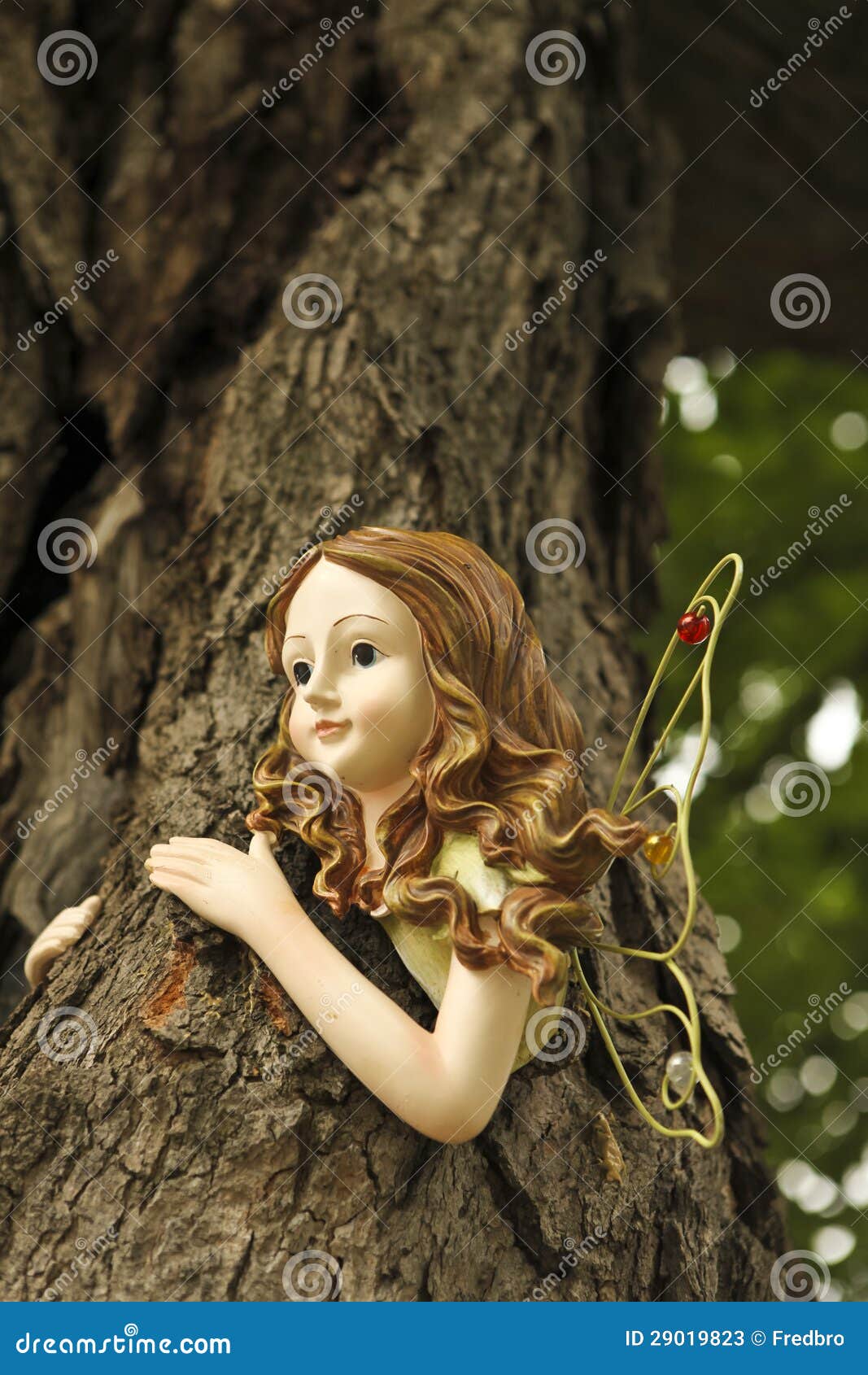 Tree fairy stock image. Image of tree, magic, bark, ornament 29019823
