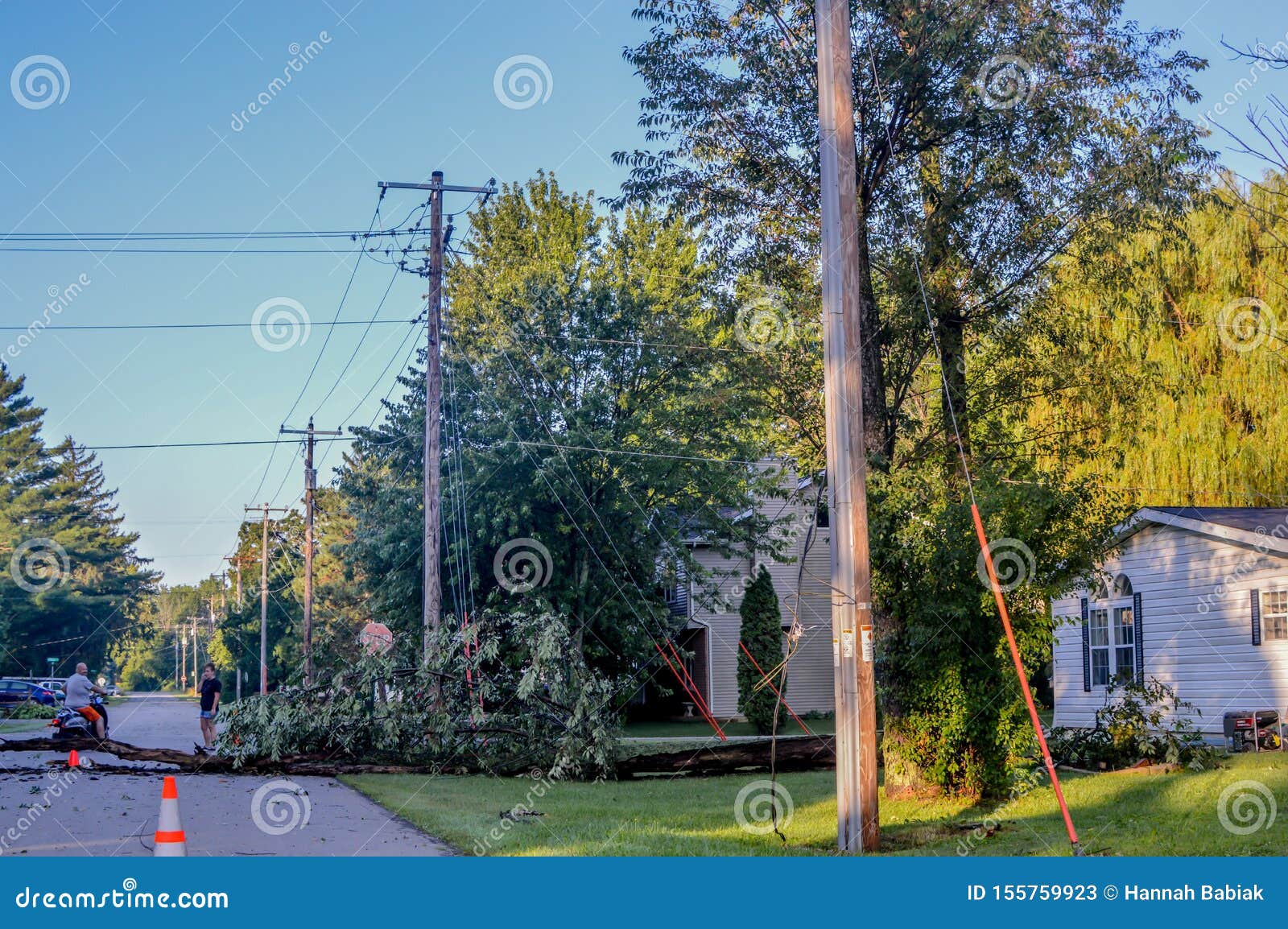 Tree Fell Across Road in Microburst Storm Editorial Stock Photo Image