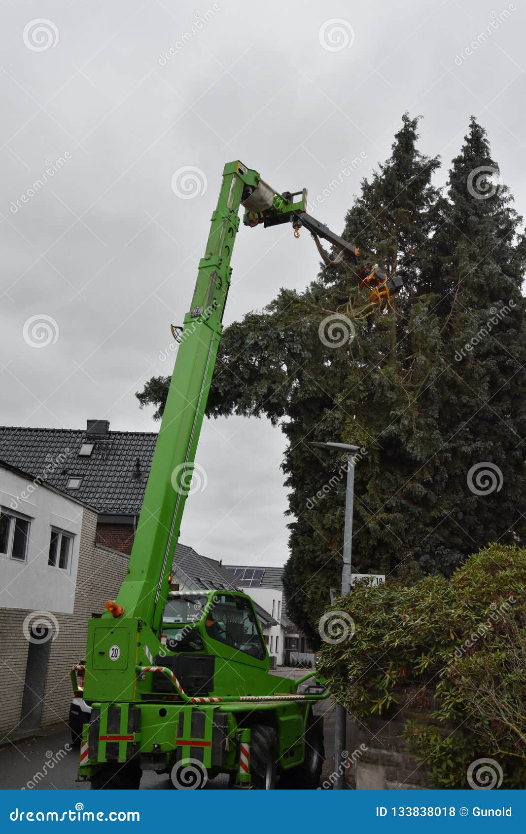 Tree Felling In A Private Garden Stock Photo Image Of Fell