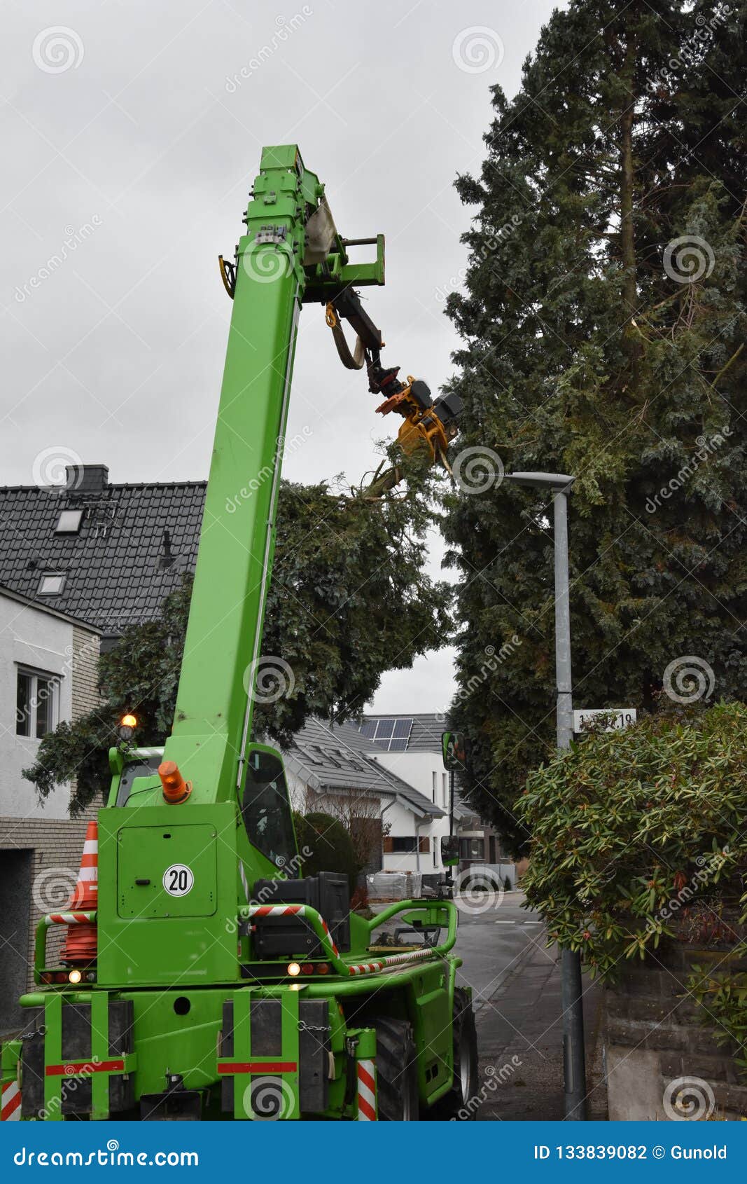 Tree Felling In A Private Garden Stock Photo Image Of Site