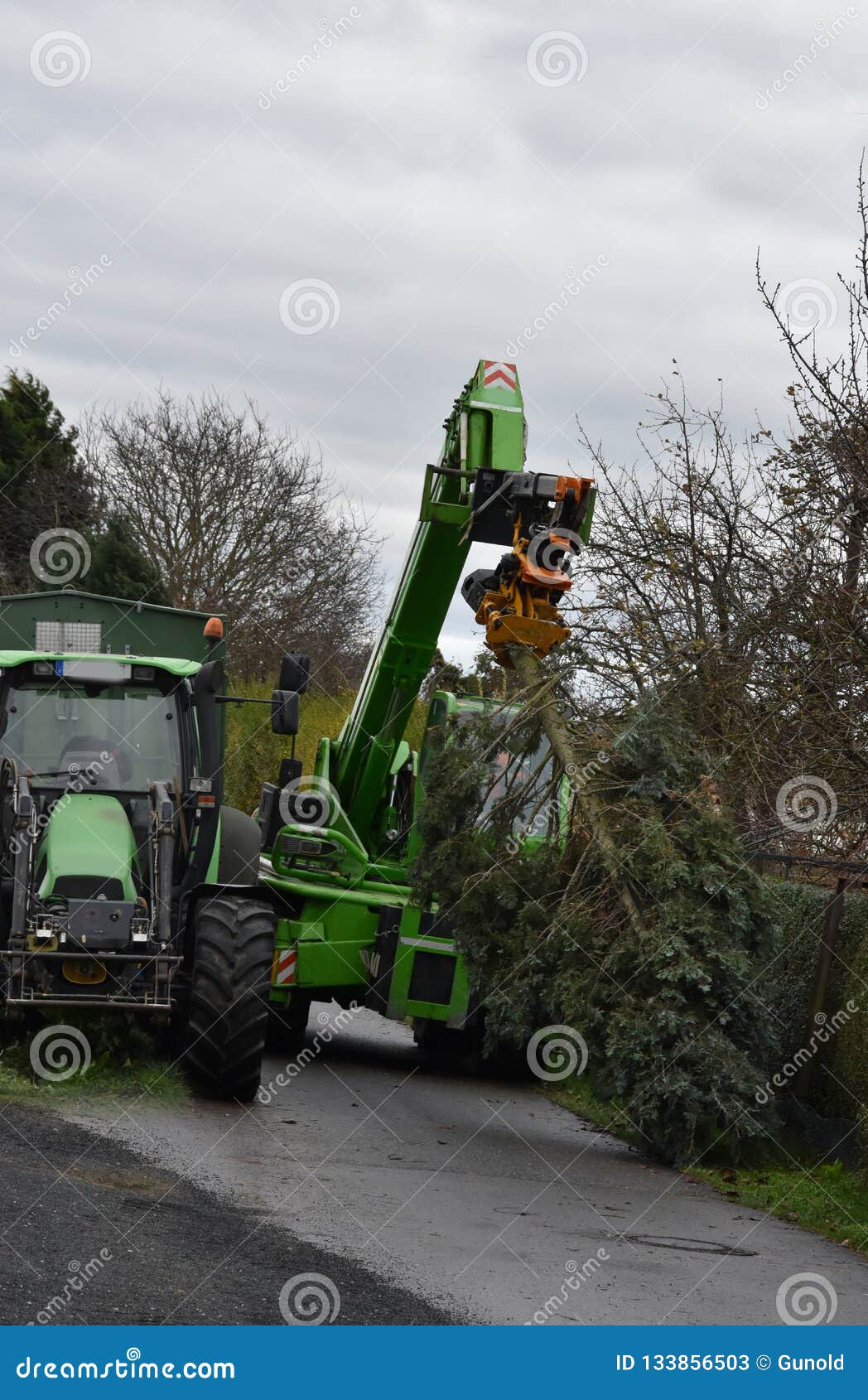 Tree Felling In A Private Garden Stock Image Image Of Harvester