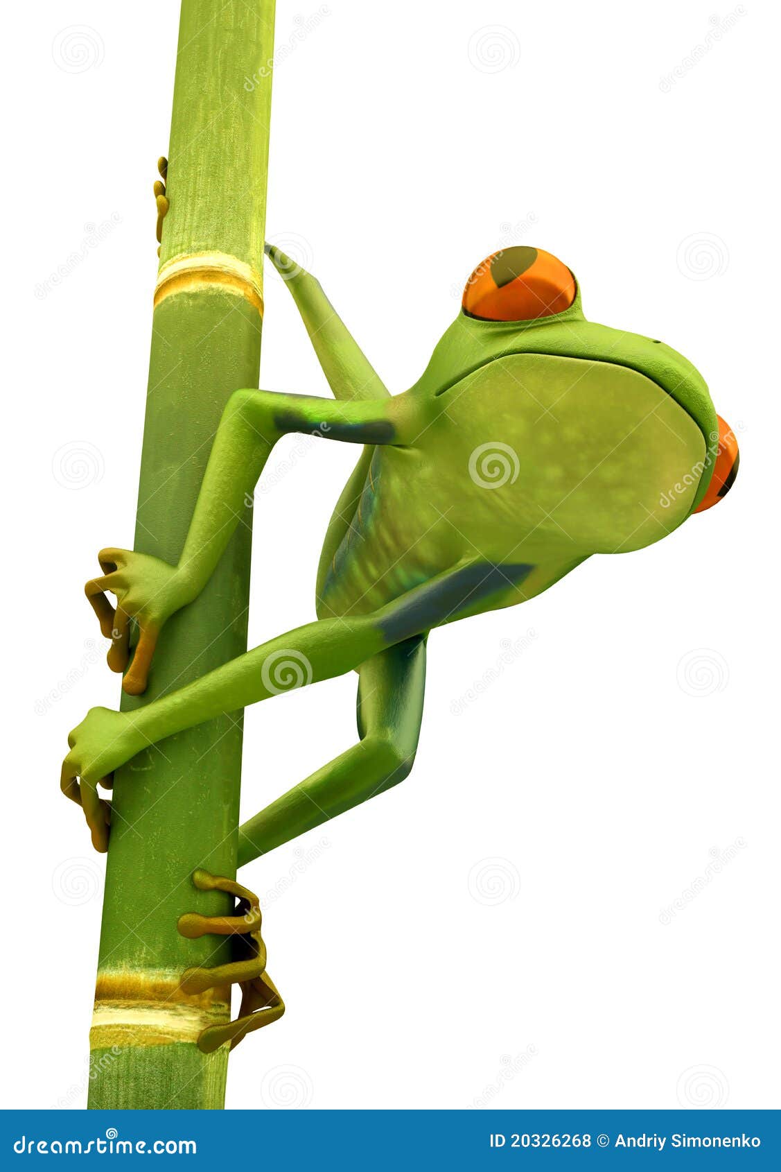 tree frog on bamboo bole 
