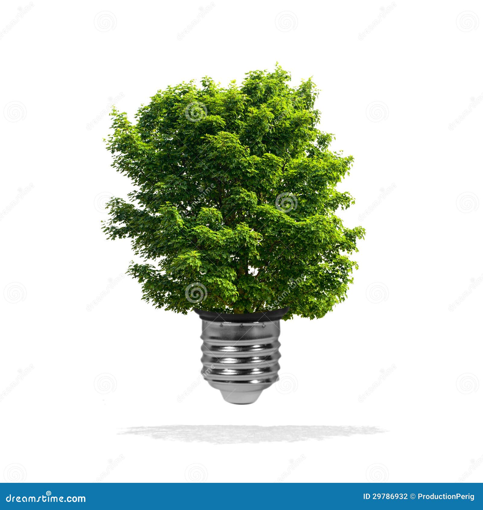 Tree Growing Out of Bulb Green Energy Eco Concept Stock Photo Image
