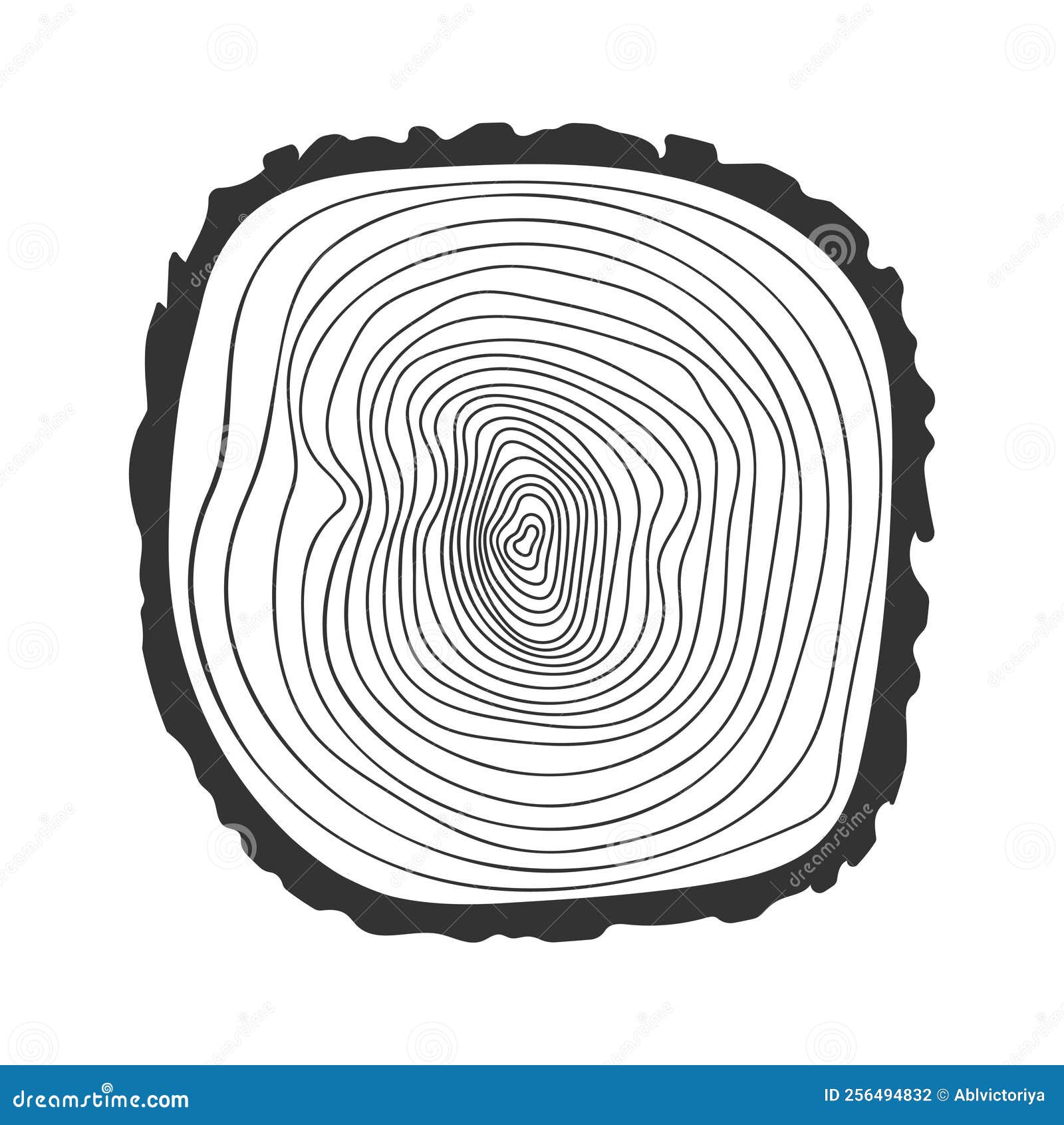 Tree Growth Ring Icon in Doodle Style. Trunk Cross Section To Determine ...
