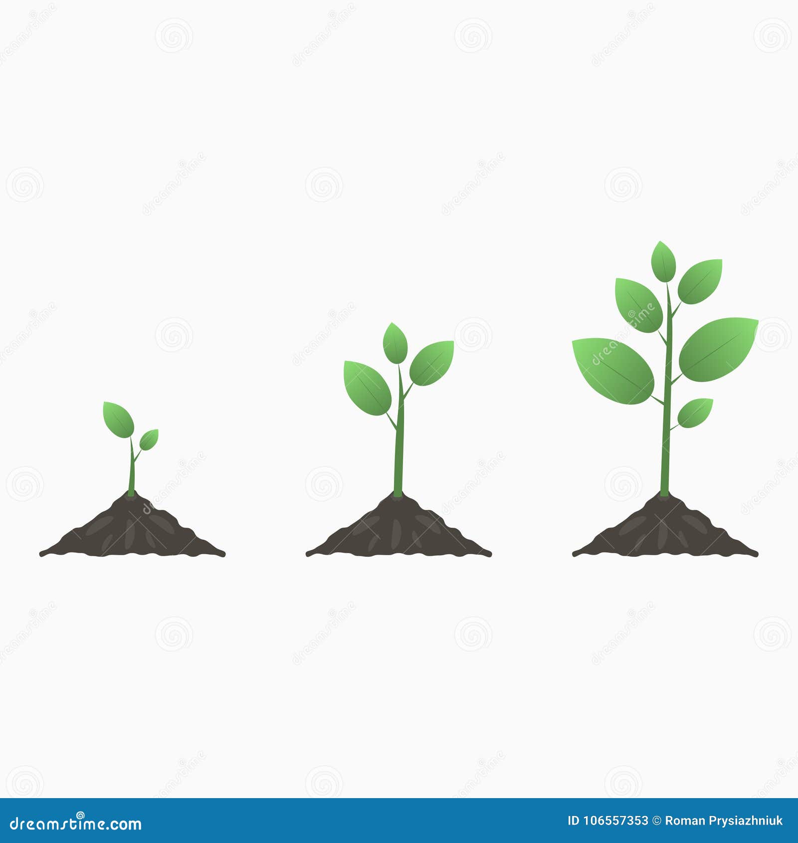Free Free Plant Life Cycle Svg 578 SVG PNG EPS DXF File
