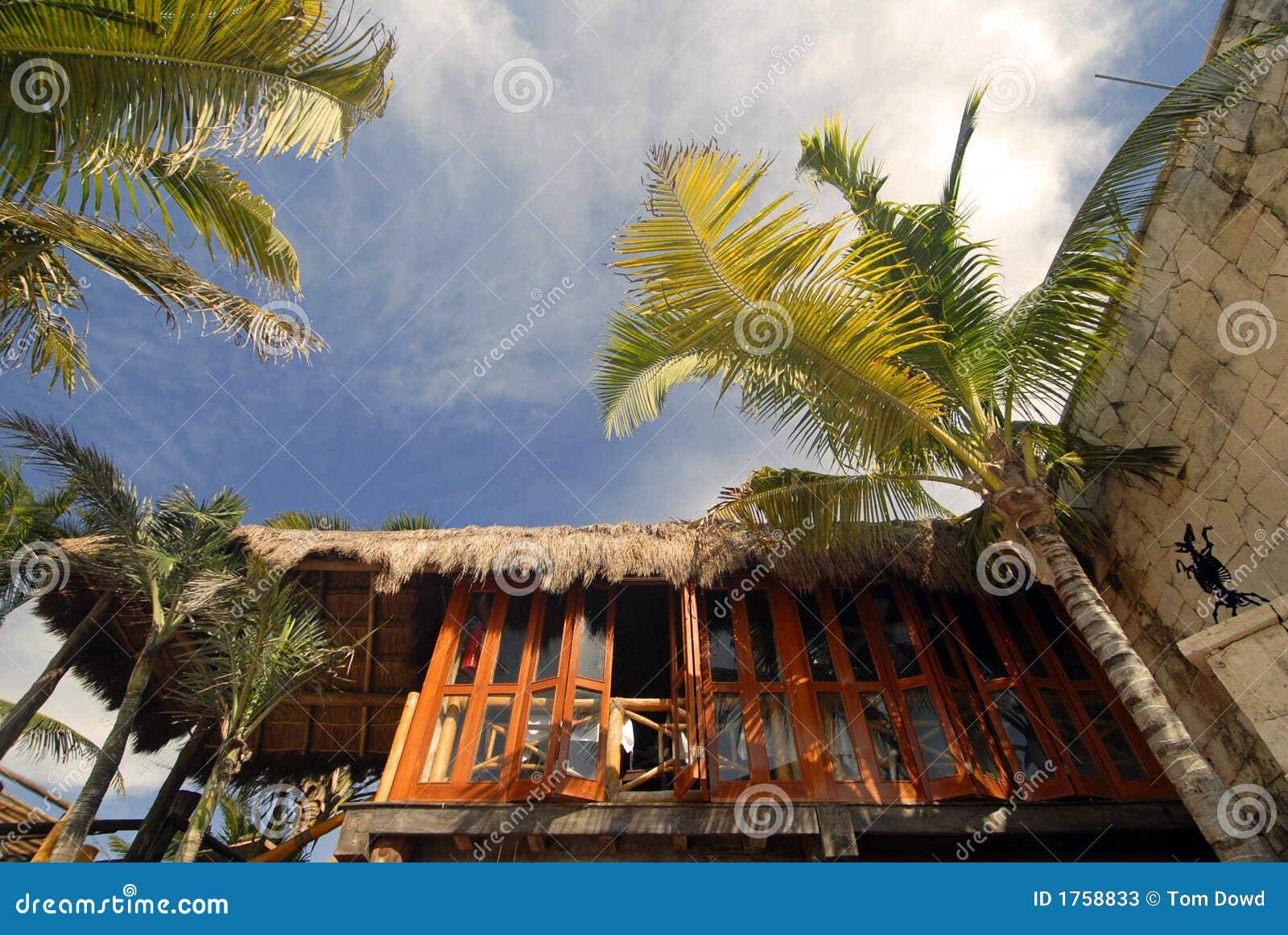 Tree House Bar stock image. Image of mexico, palm, party 1758833