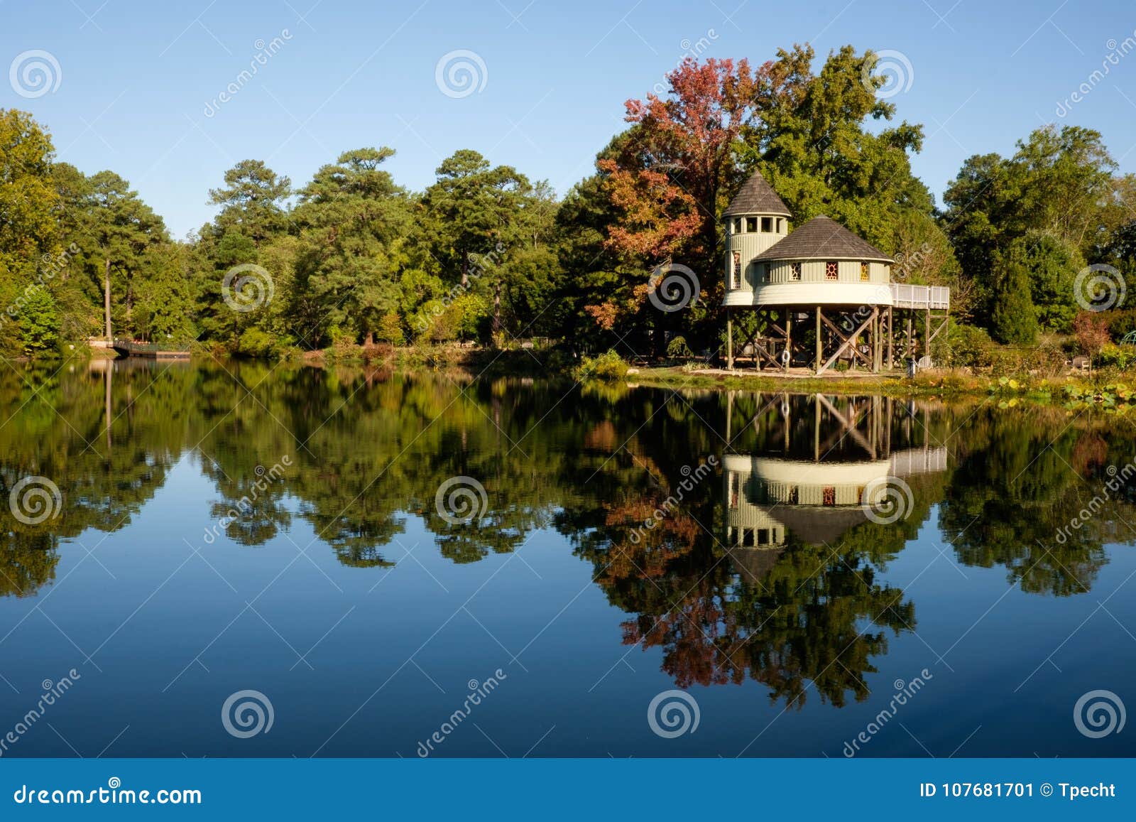 tree house on the lake
