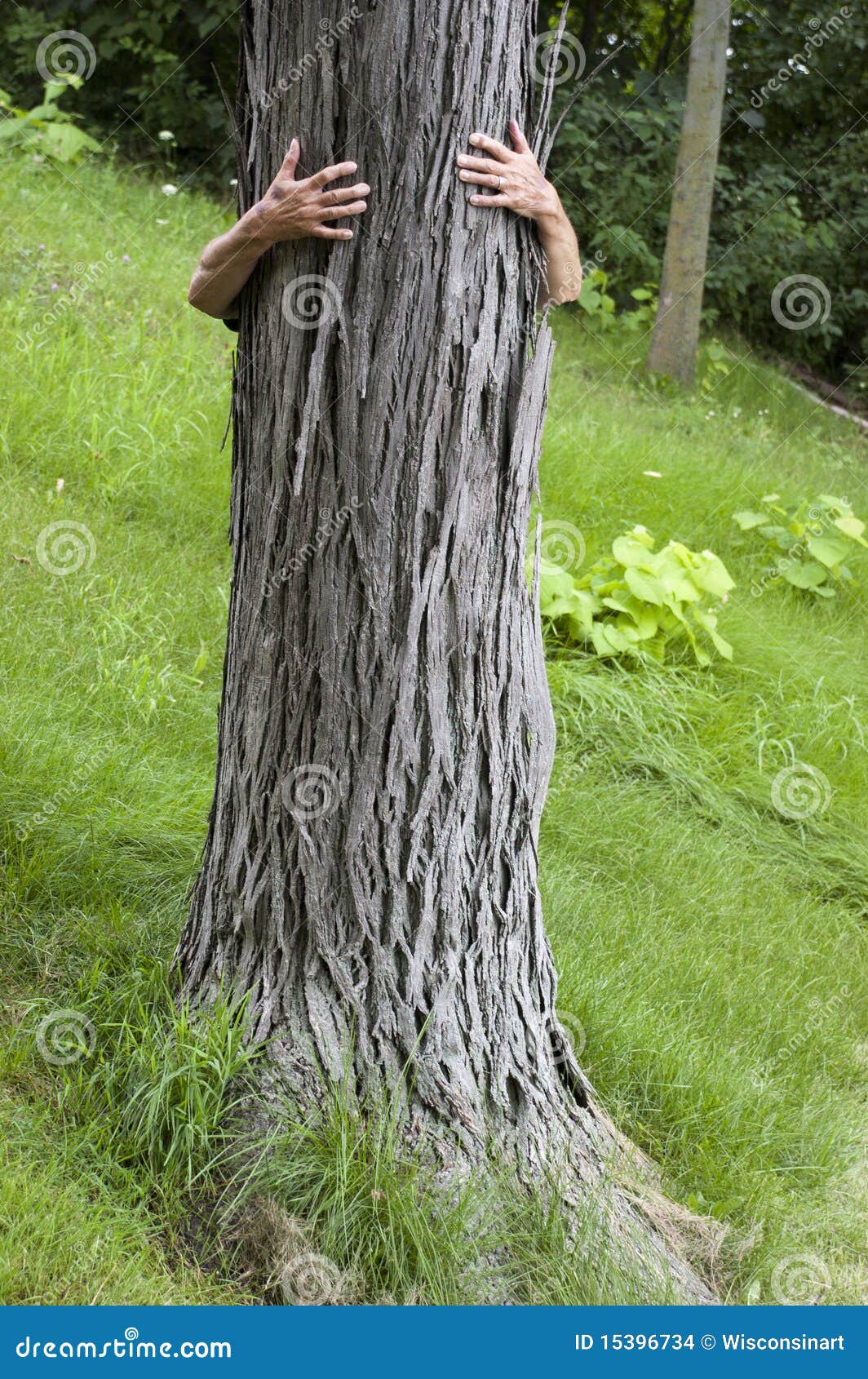 tree hugger environmentalist, hug save environment