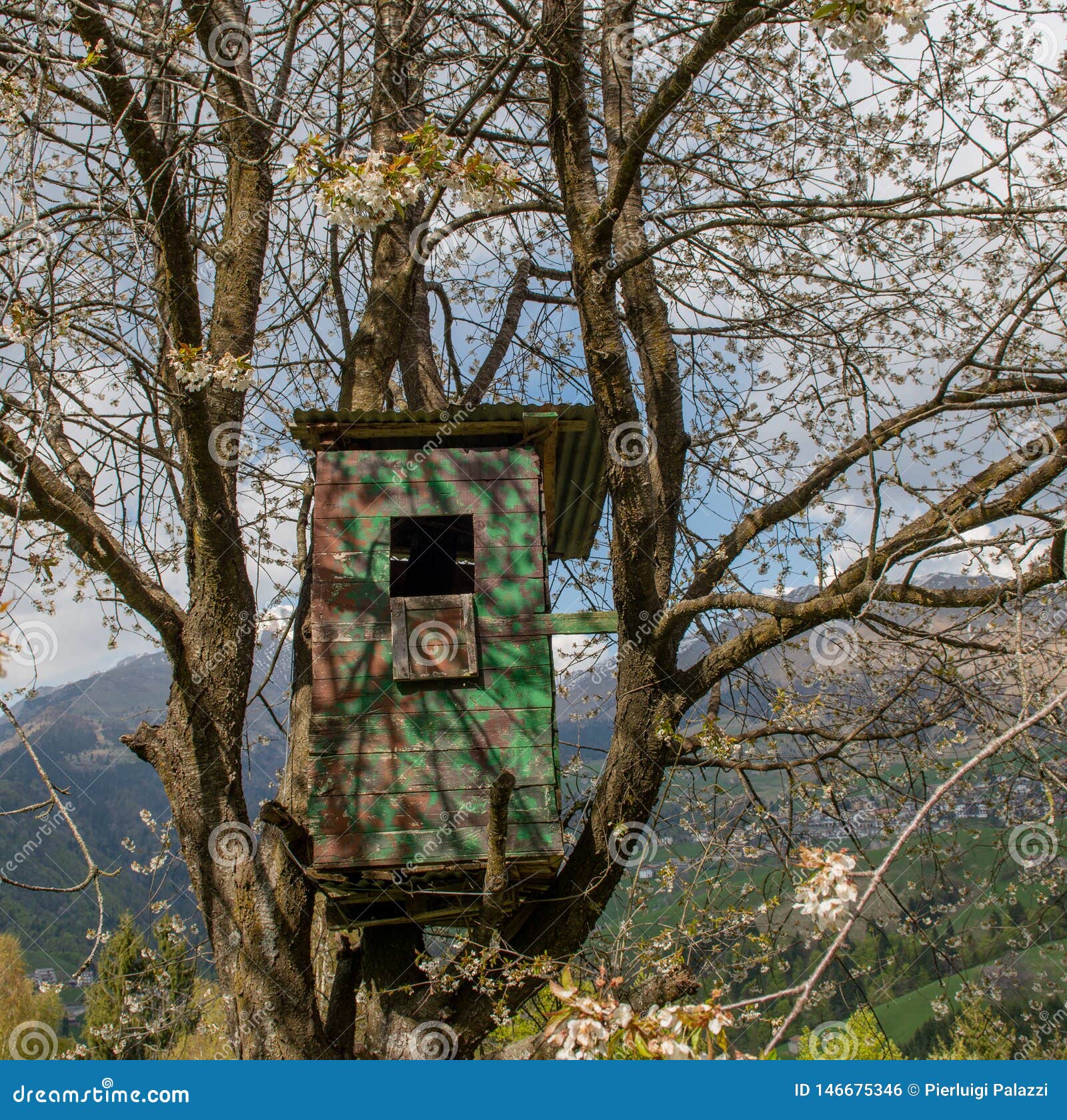 Tree hunting hut stock photo. Image of flowered, concealment 146675346