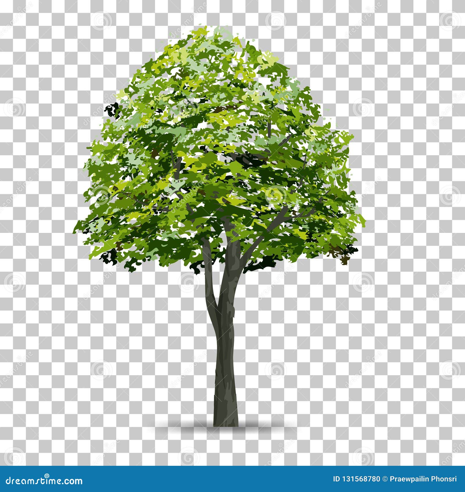 Featured image of post Tree Picture Without Background : You will also get a 15 png file with transparent background containing all images at once.