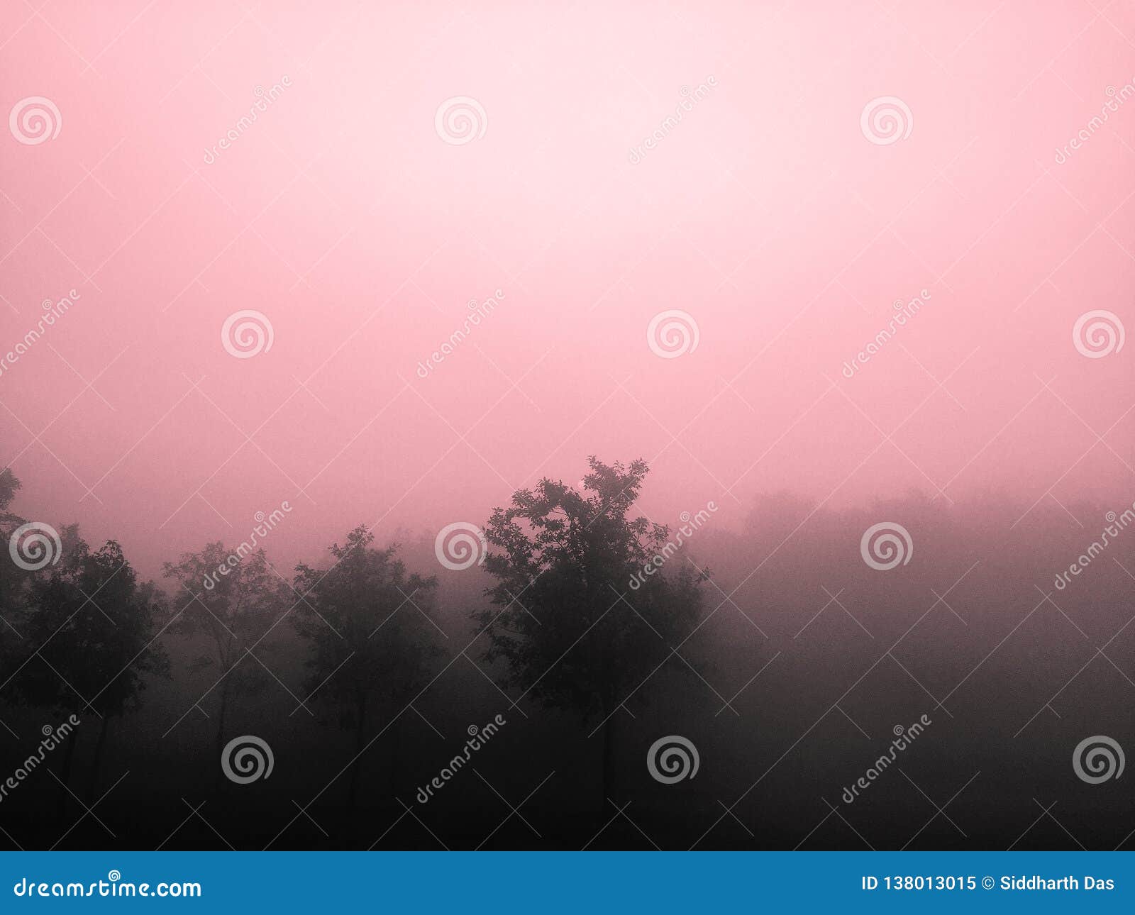 Tree Tops In Winter Foggy Weather Stock Image Image Of Seesaw
