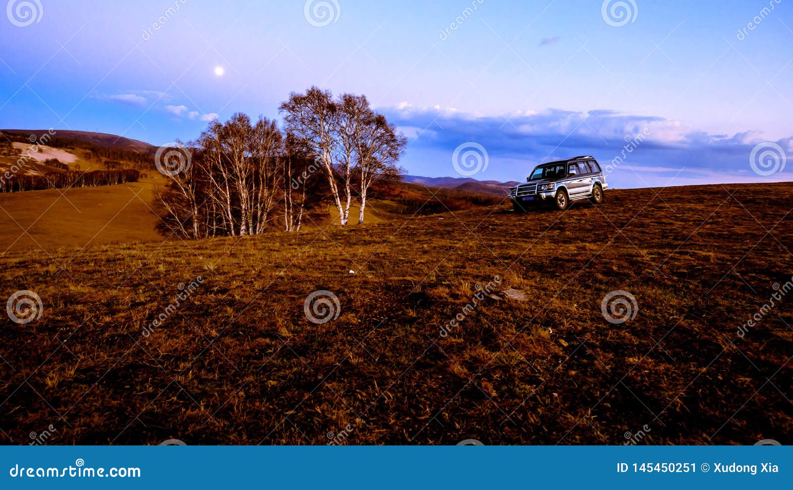 A Tree and a Jeep at Inner Mongolia Stock Image Image of dawn